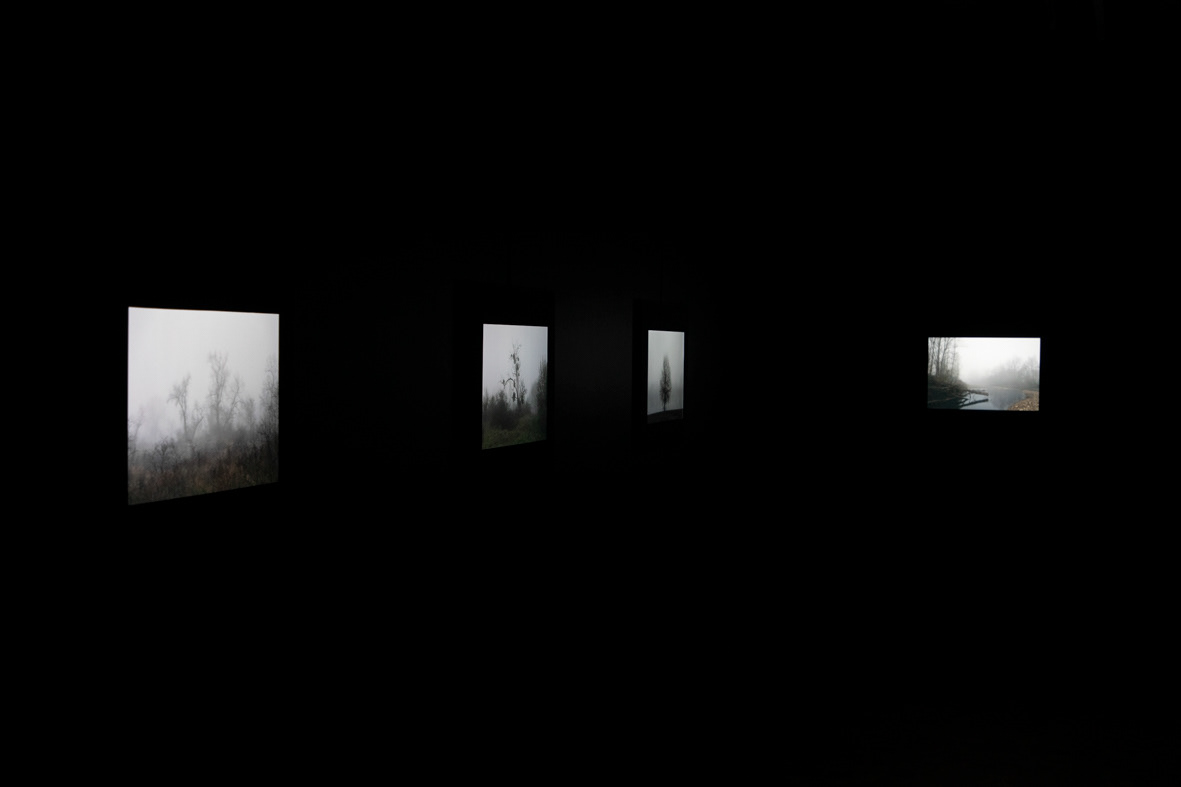 Impressions sur film rétro-éclairées - série nebula liger