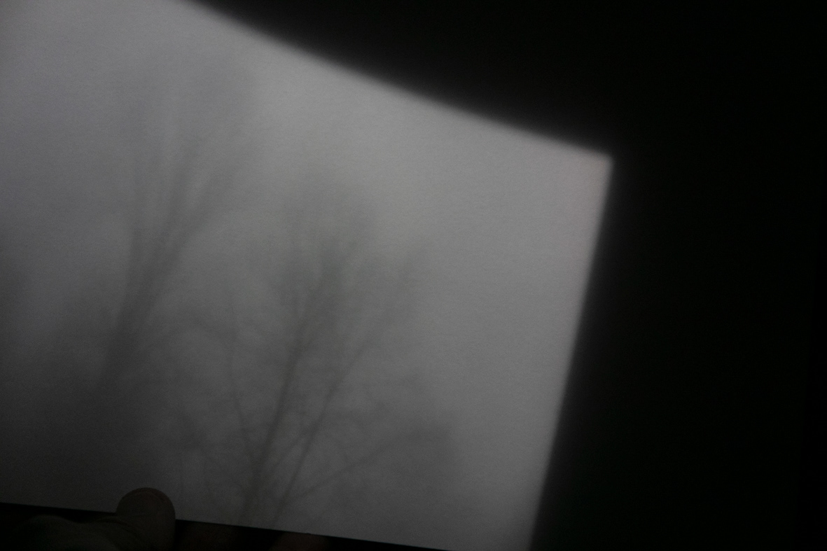 Chambre de brouillard - support de projection tenu par un visiteur