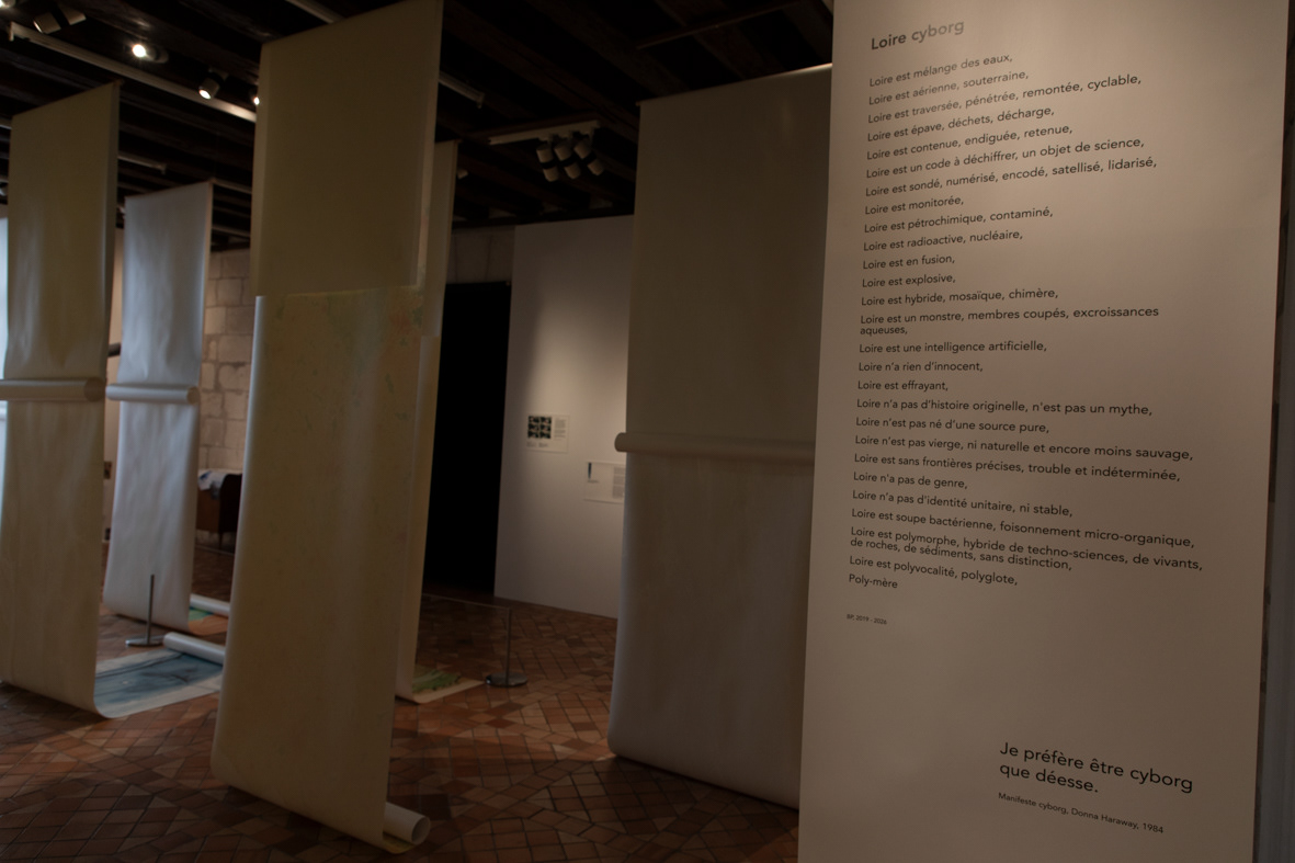 Cabinet de cartes - Loire cyborg, hommage à Donna Haraway