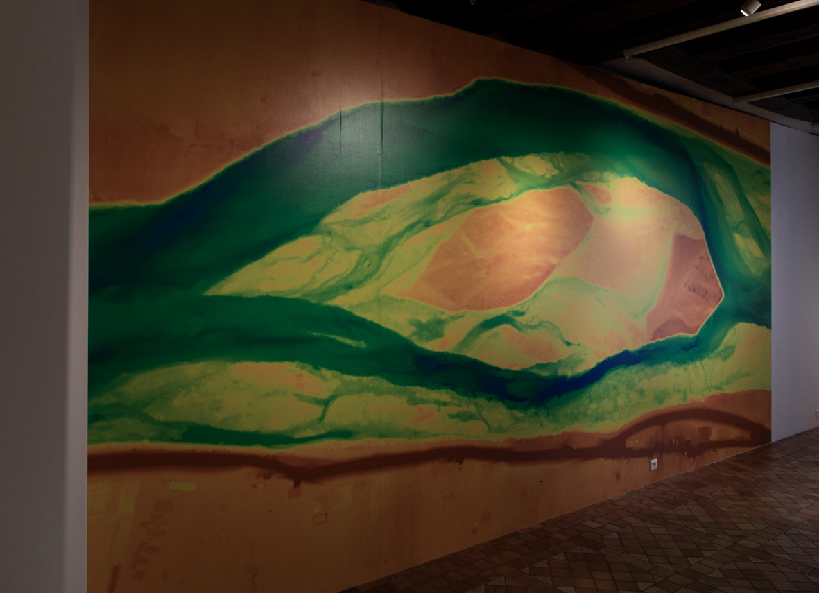 Cabinet de cartes - Image Lidar de l'île aux bœufs (réal. Alex Andréault)