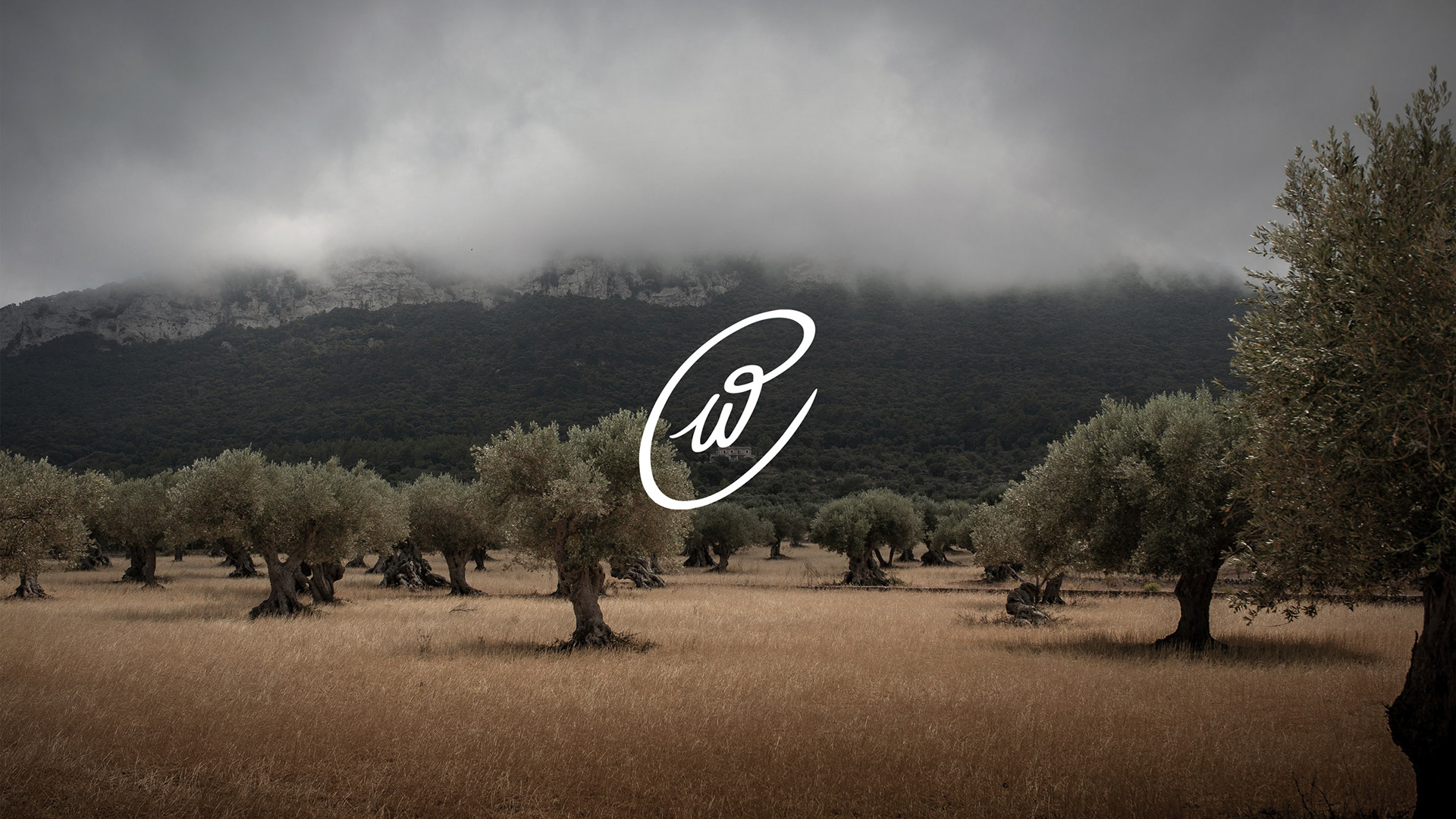 The Prosfora olive oil symbol that resembles an olive, placed over an olive grove.