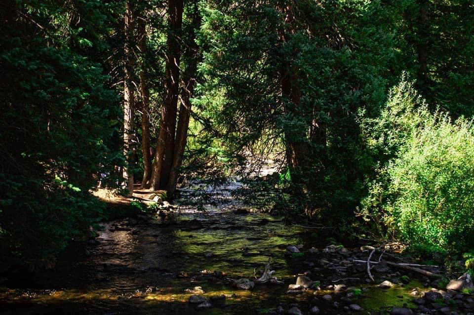 Maroon Bells / Aspen, CO / 2020