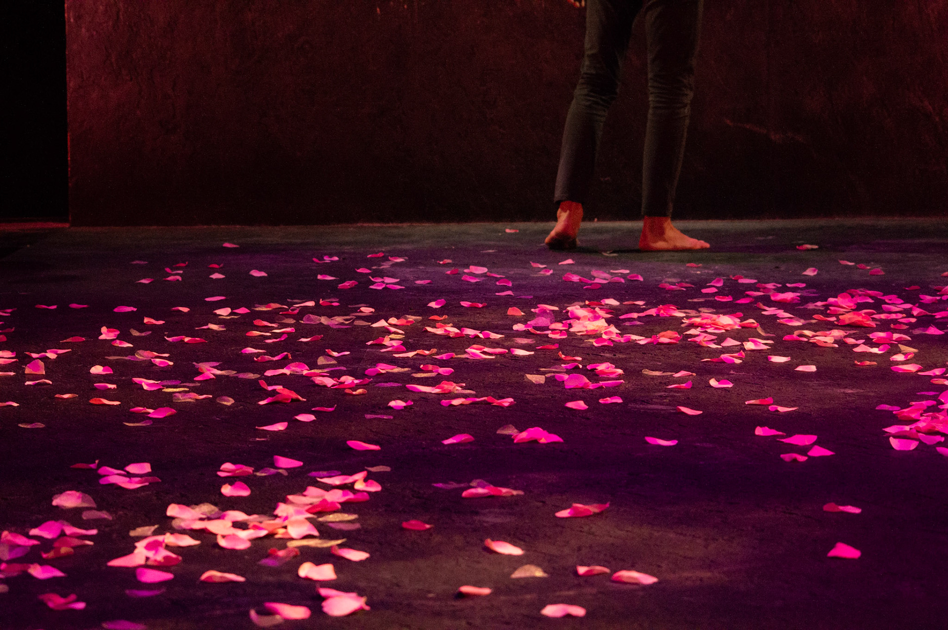 Photo by Austin Brown