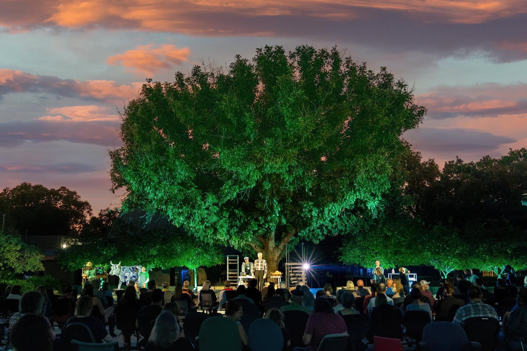 Photo by Suzanne Cordeiro