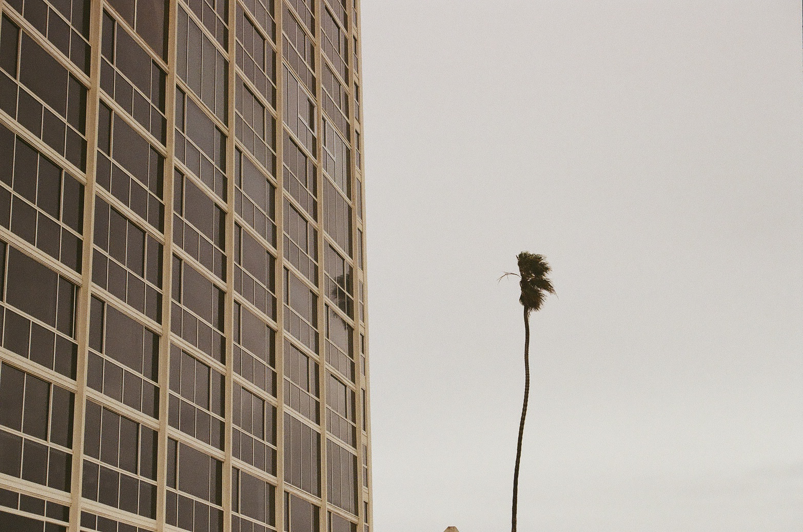 San Diego, CA | 2025