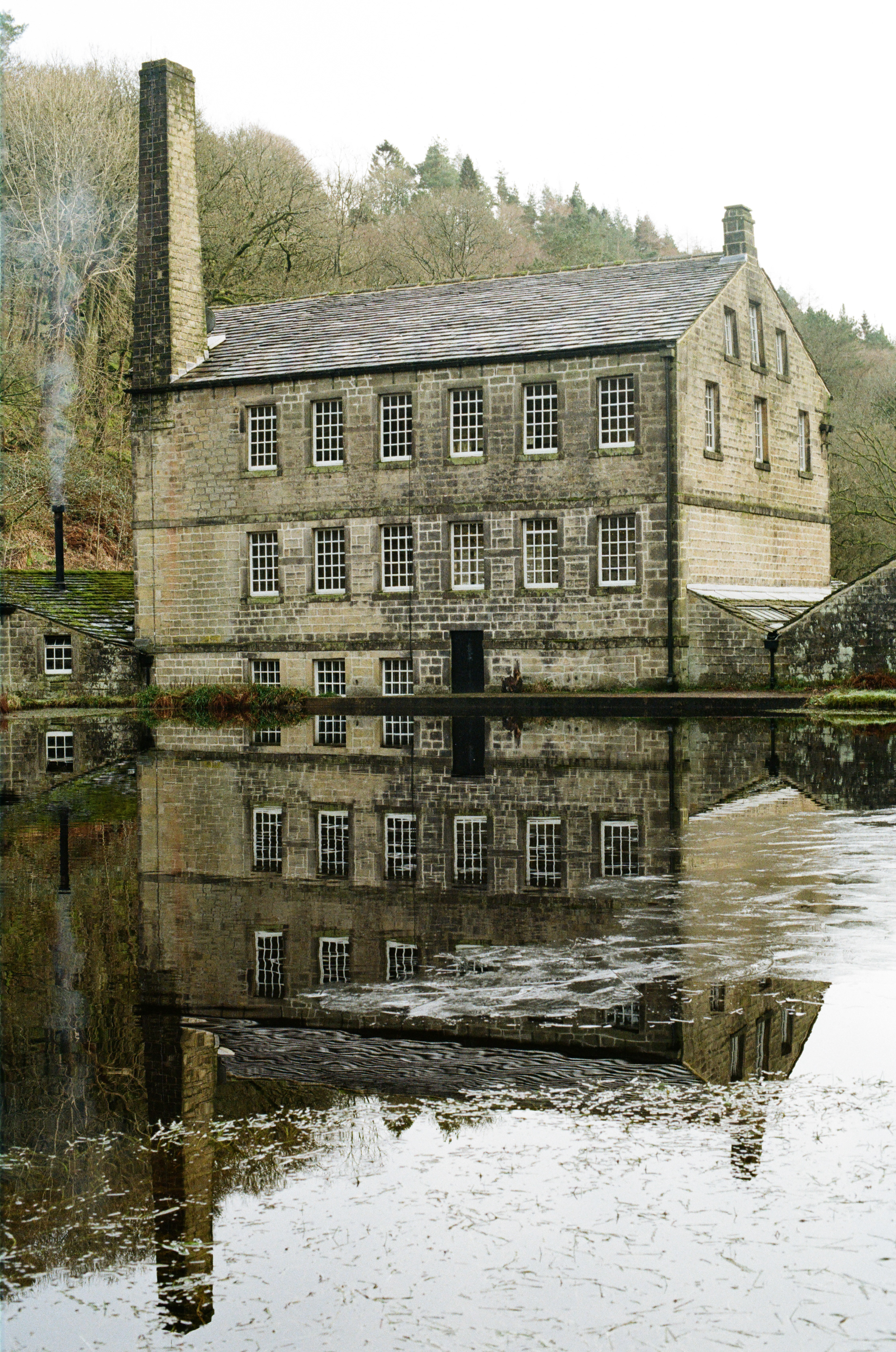 Nikon F5, Nikon AF 50mm ƒ1.4D, Kodak Gold 200