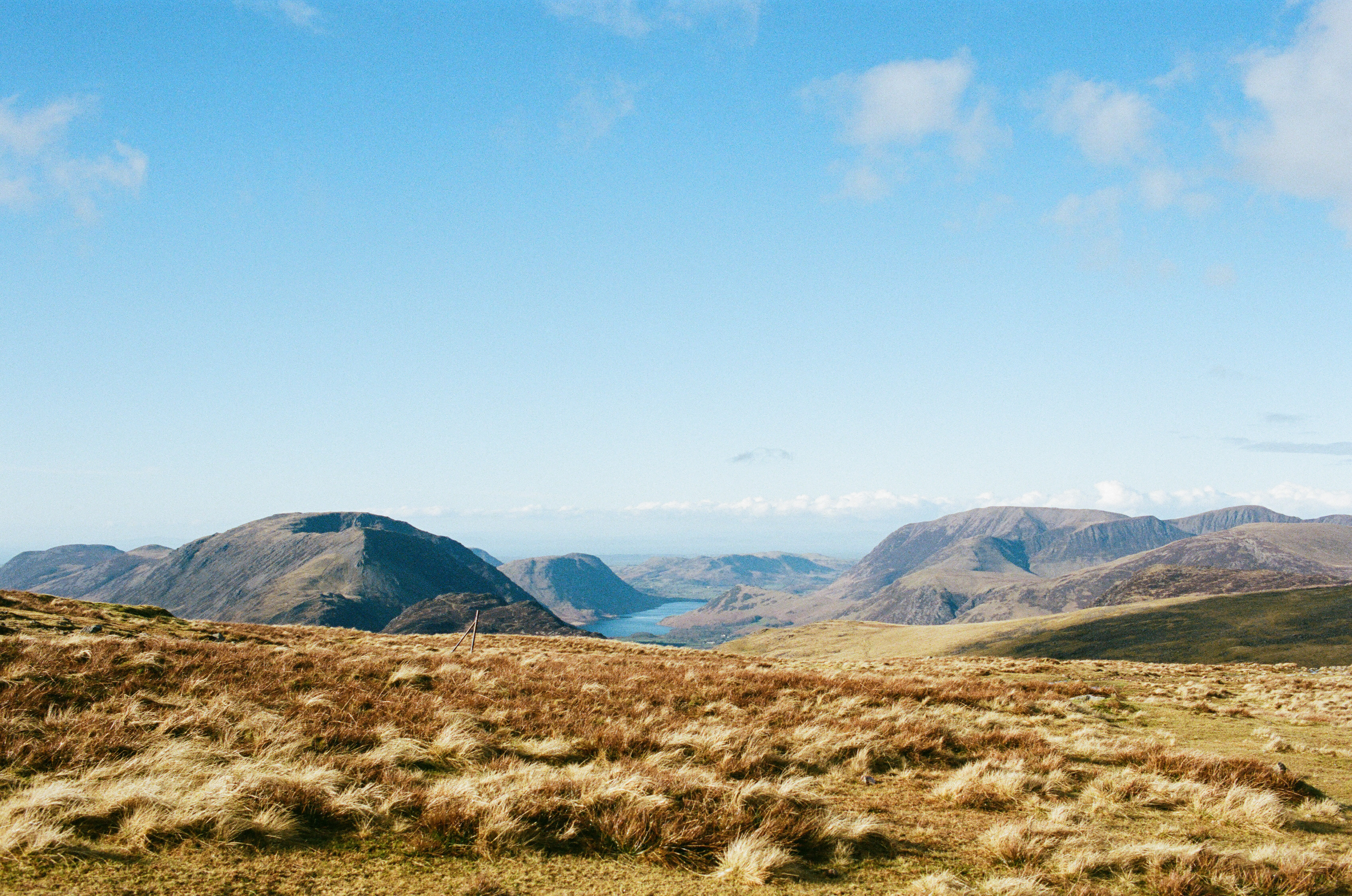 Nikon FM3a, Carl Zeiss Distagon 35mm ƒ2, Kodak Portra 400