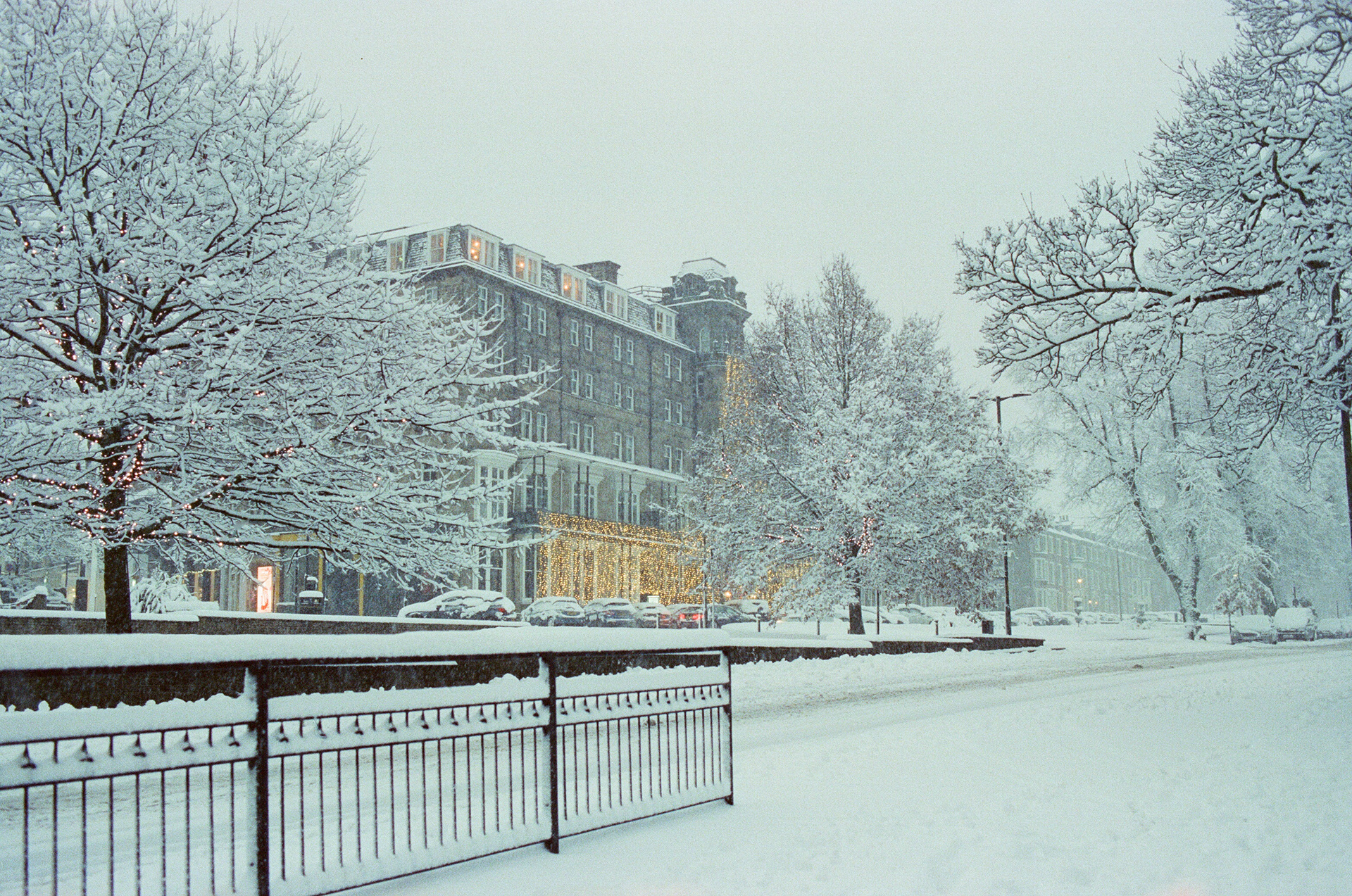 Nikon FM3a, Carl Zeiss Distagon 35mm ƒ2, Cinestill 800T