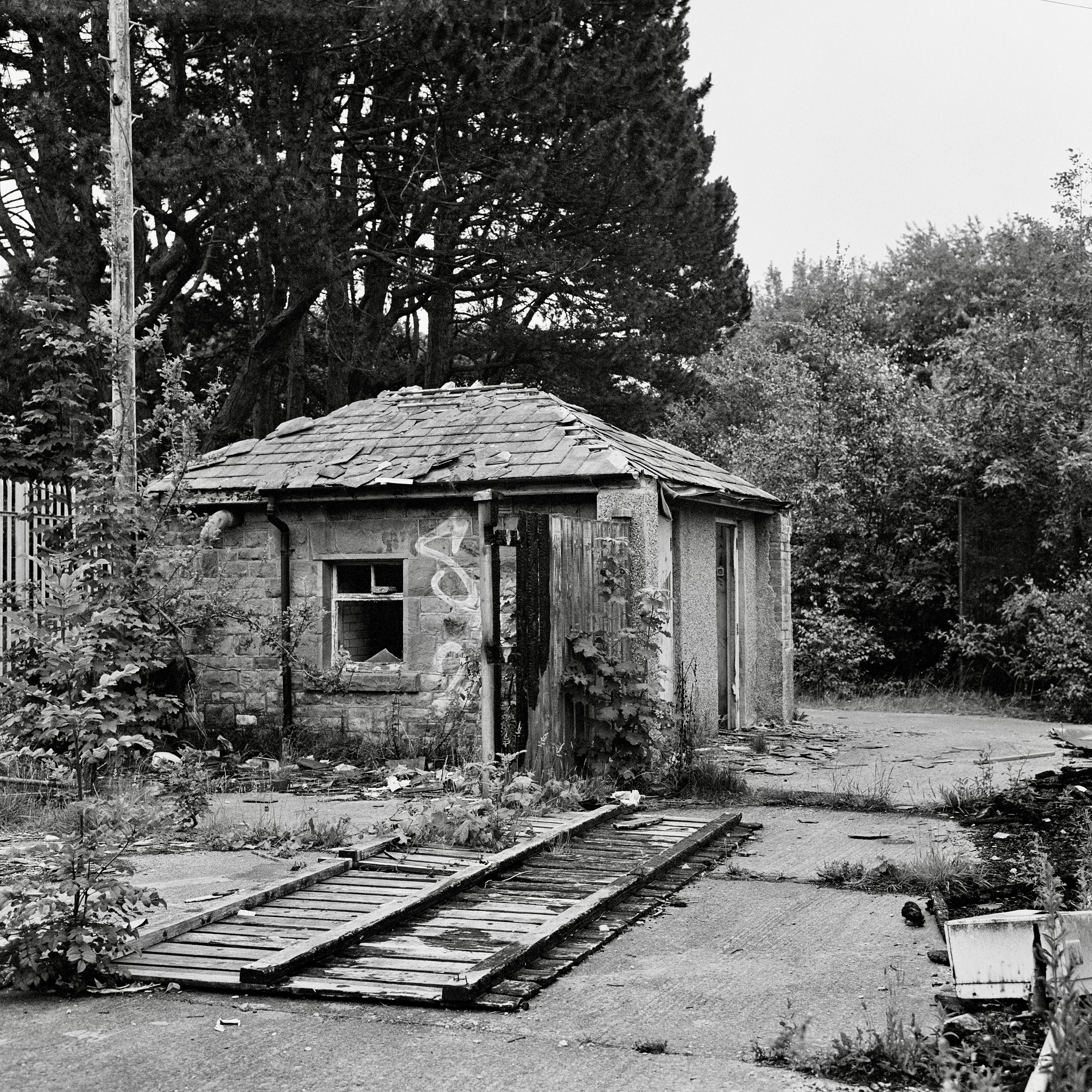 Rolleiflex 3.5F, Zeiss Planar 75mm ƒ3.5, Kodak Tri-X