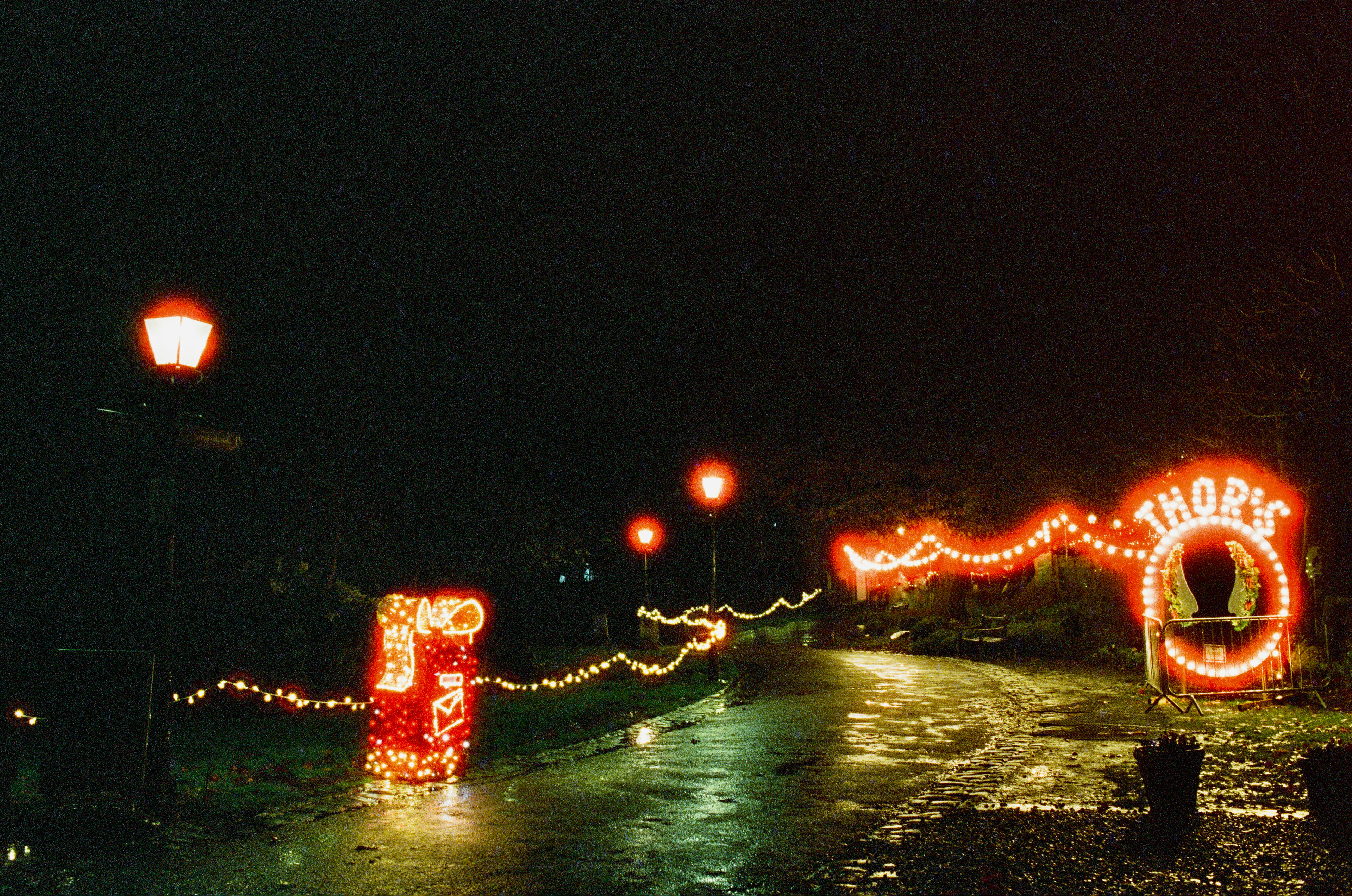 Nikon F5, Carl Zeiss Distagon 35mm ƒ2, Cinestill 800T