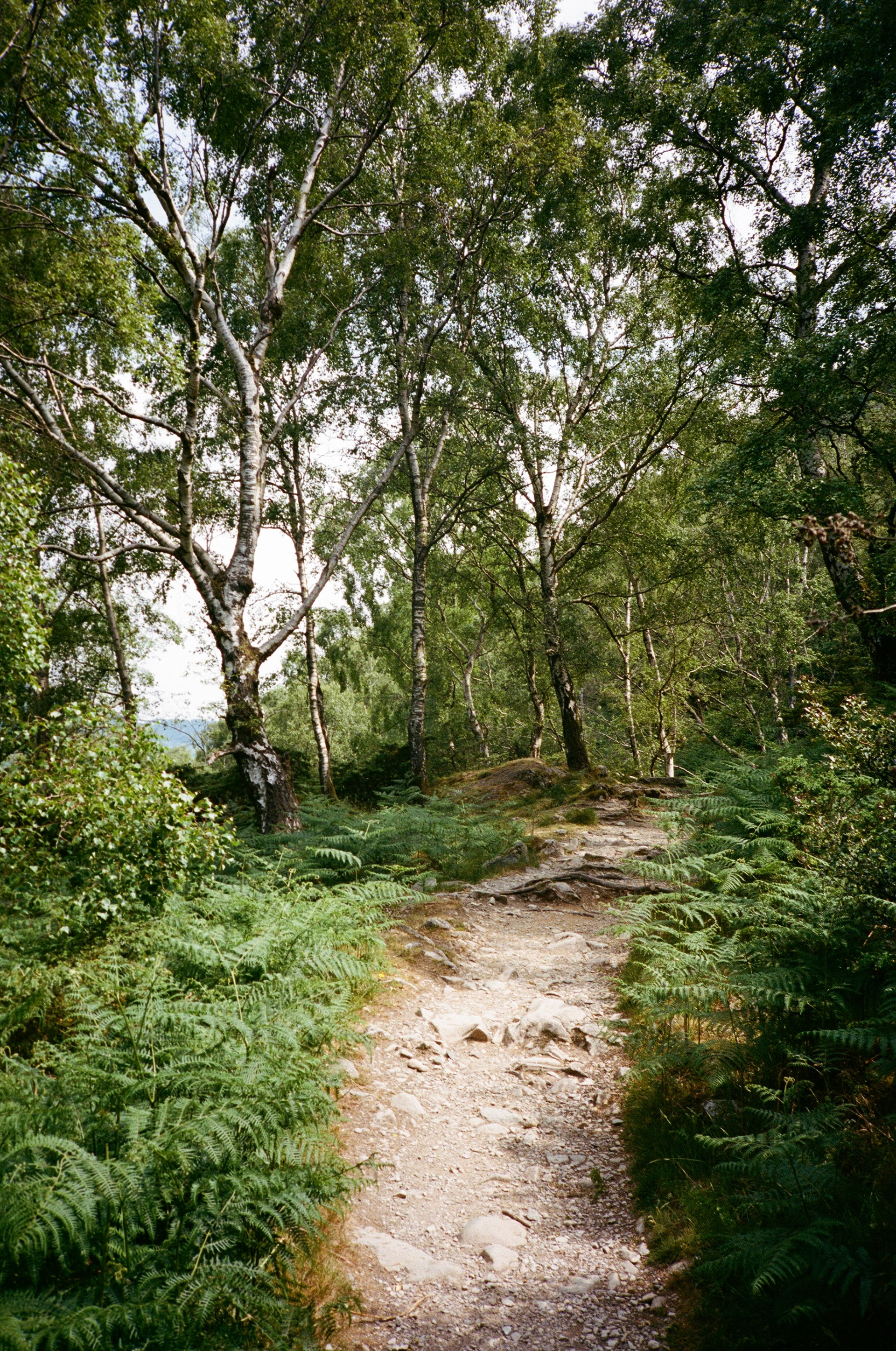 Olympus XA2, Kodak Portra 400