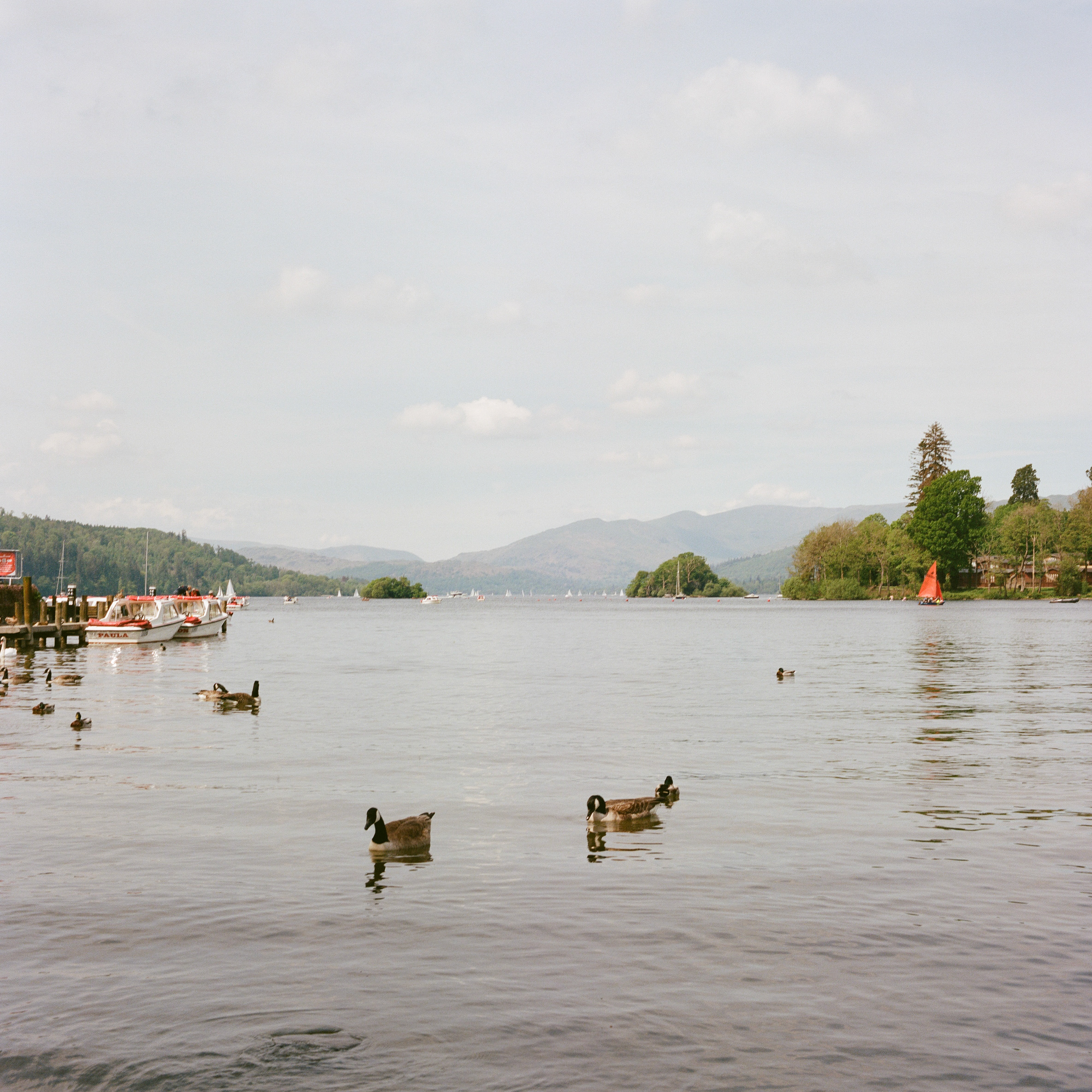 Bronica SQ-Ai, Zenzanon PS 80mm ƒ2.8, Kodak Portra 400