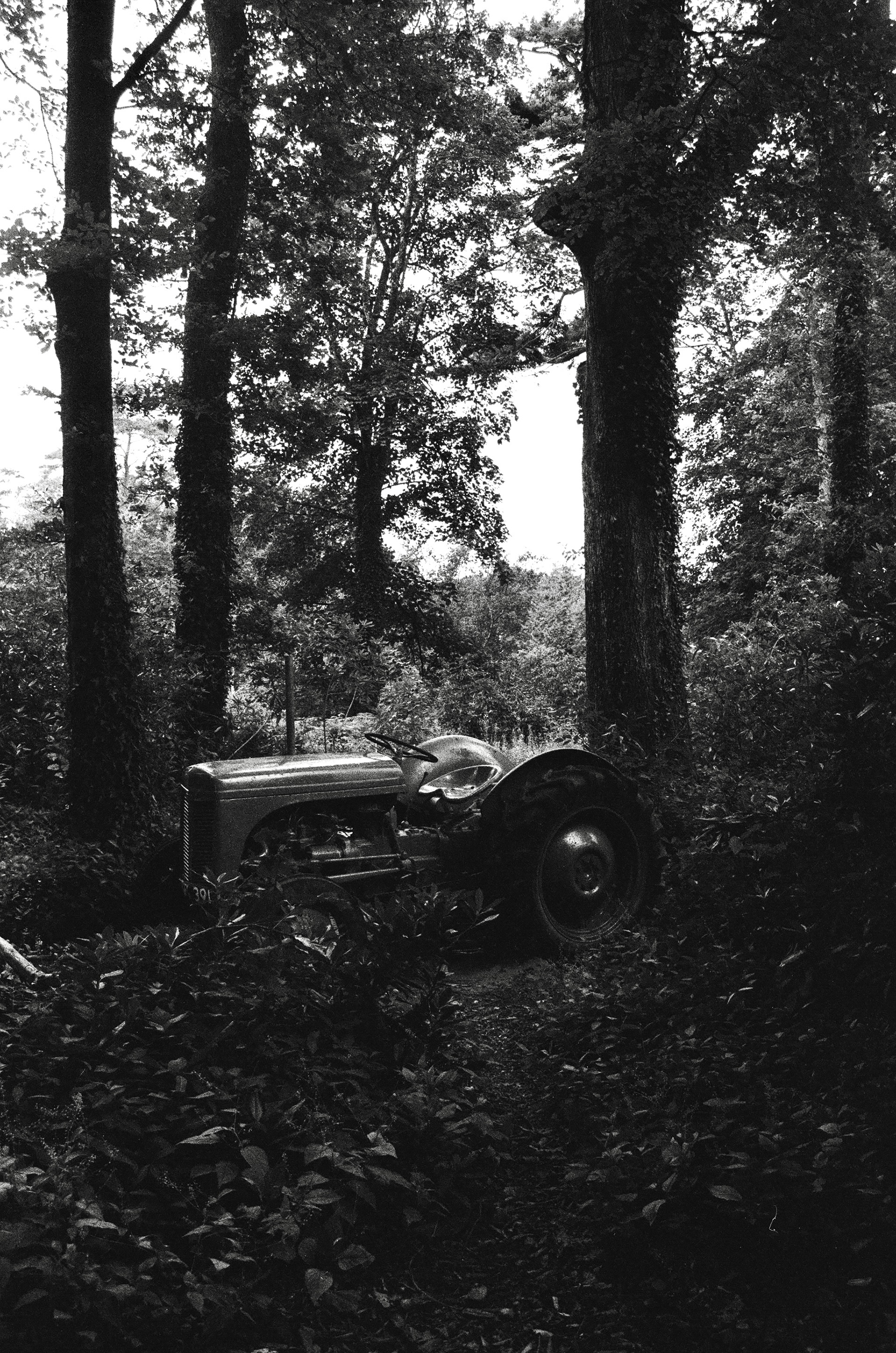 Nikon FM3a, Carl Zeiss Distagon 35mm ƒ2, Kentmere 400 (+2 stops)