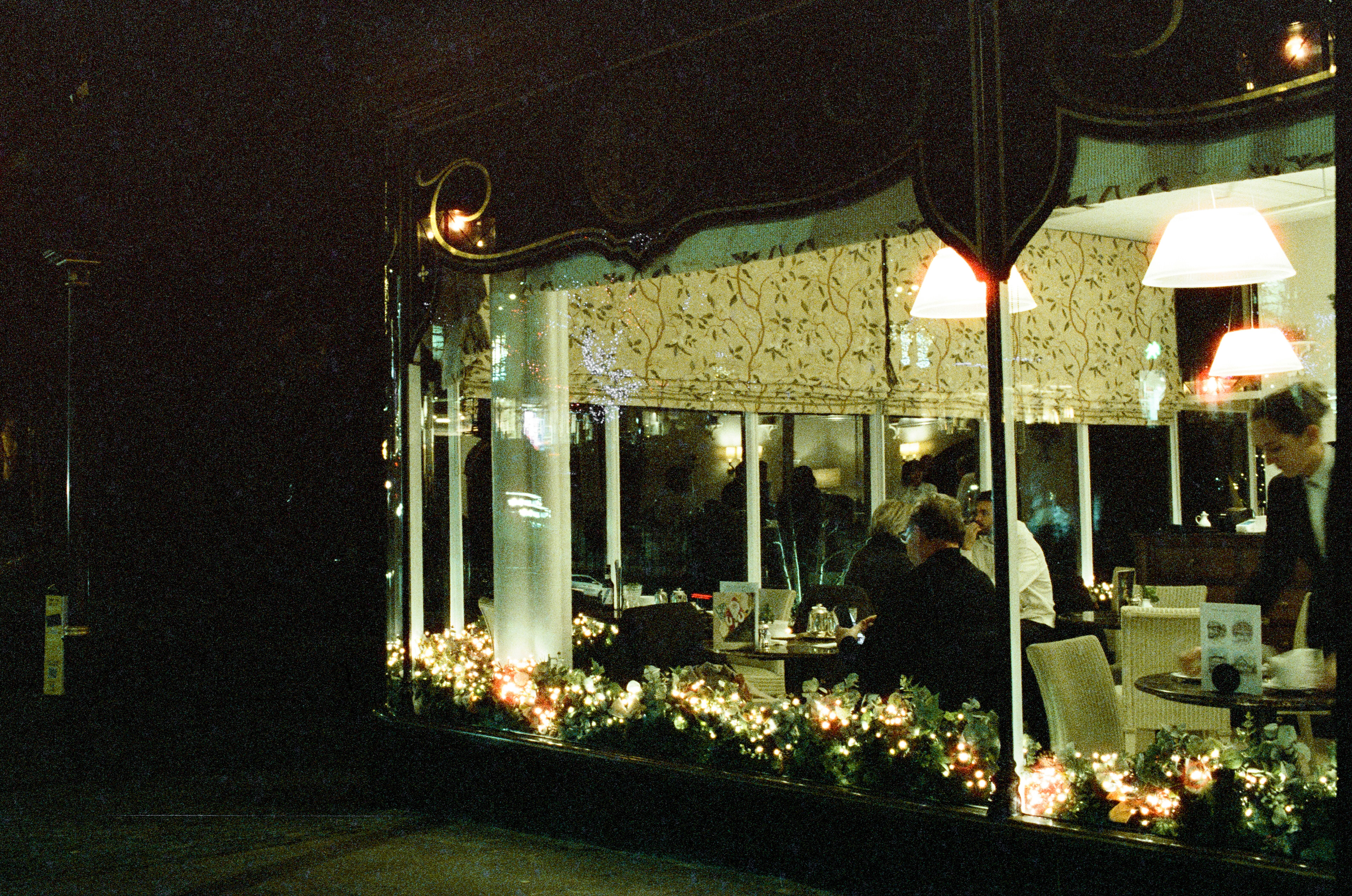 Nikon F5, Carl Zeiss Distagon 35mm ƒ2, Cinestill 800T