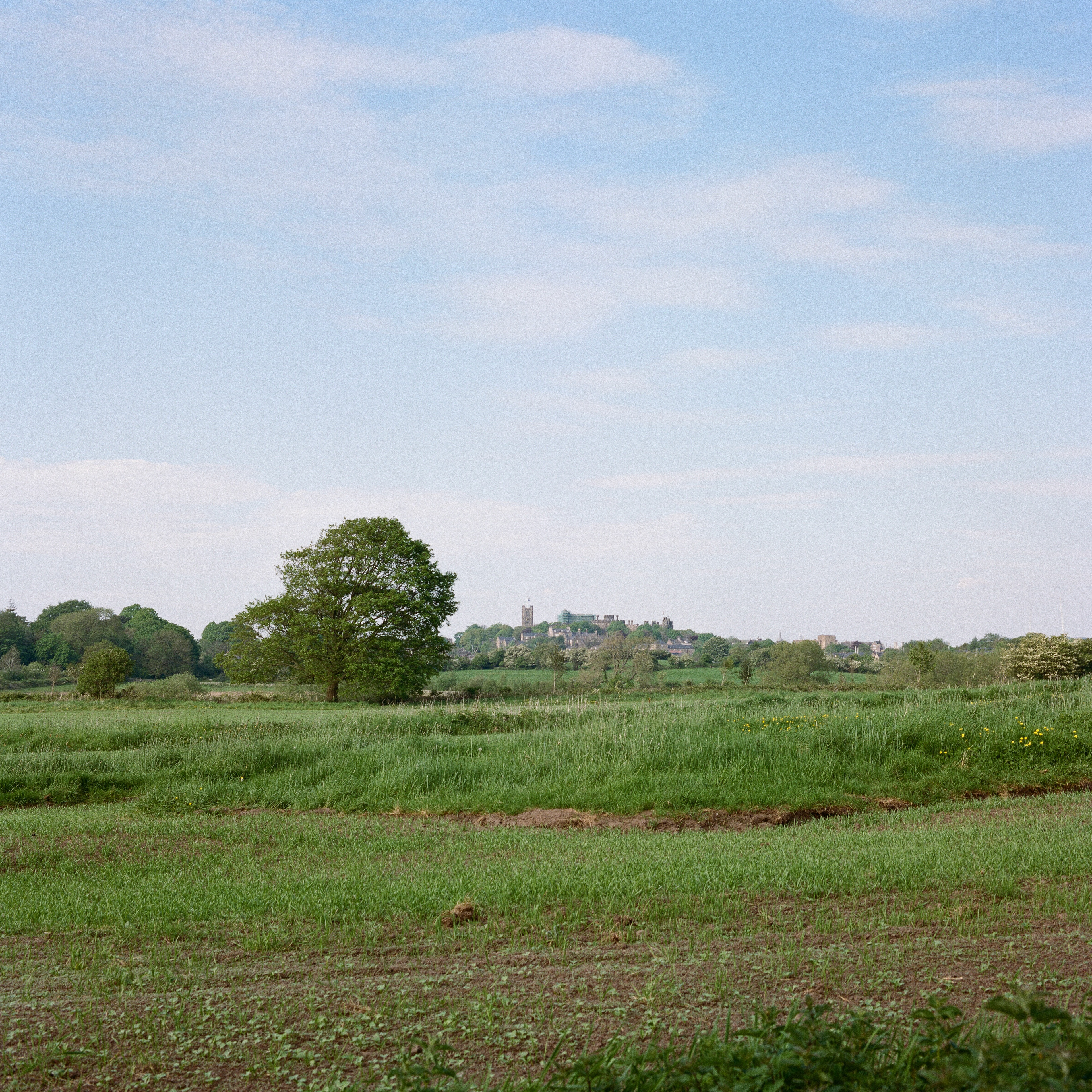Bronica SQ-Ai, Zenzanon PS 80mm ƒ2.8, Kodak Portra 400