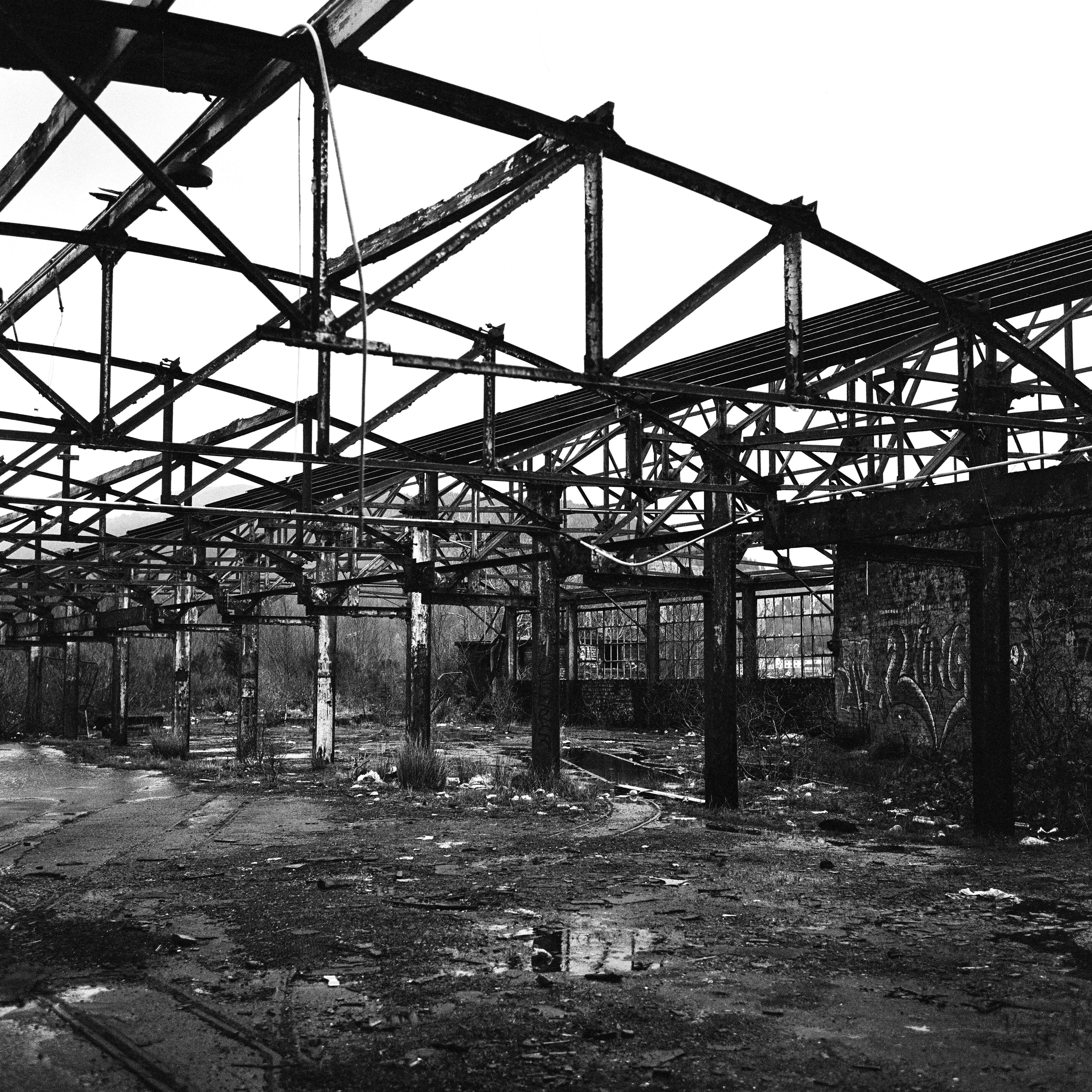 Rolleiflex 3.5F, Zeiss Planar 75mm ƒ3.5, Kodak Tri-X