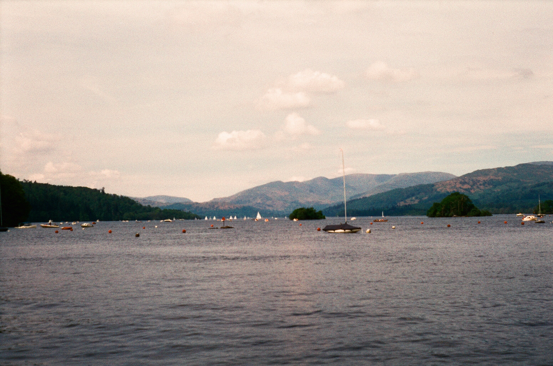 Zeiss Ikon Contaflex Super B, Tessar 50mm ƒ2.8, Harman Phoenix 200