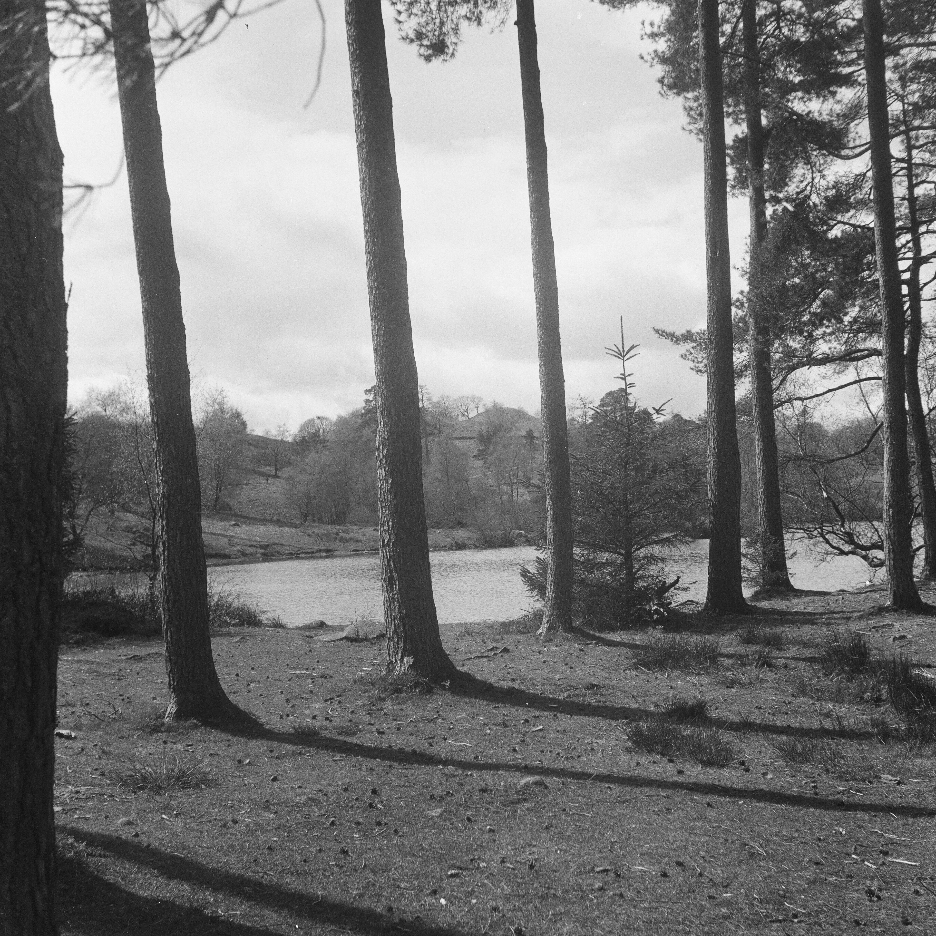 Rolleicord "Art Deco", Zeiss Jena Triotar 75mm ƒ4.5, Ilford HP5+