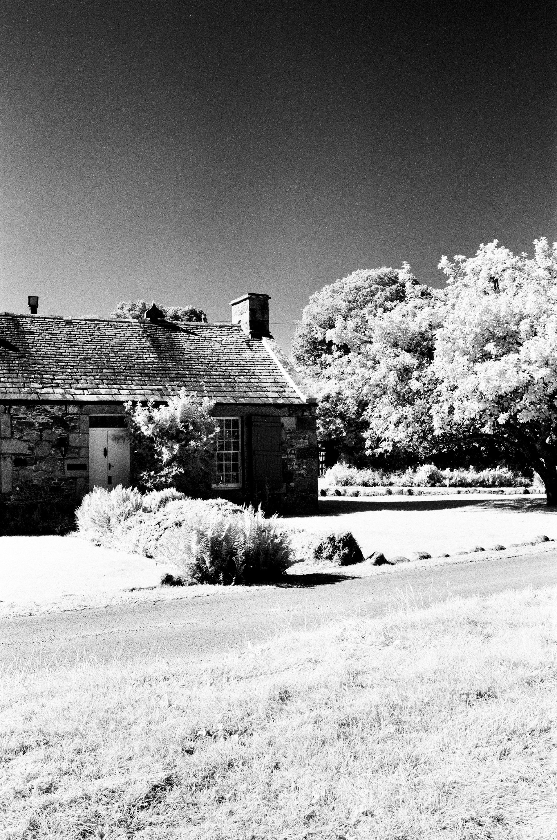 Nikon FM3a, Carl Zeiss Distagon 35mm ƒ2, Rollei IR400 + R72 Filter