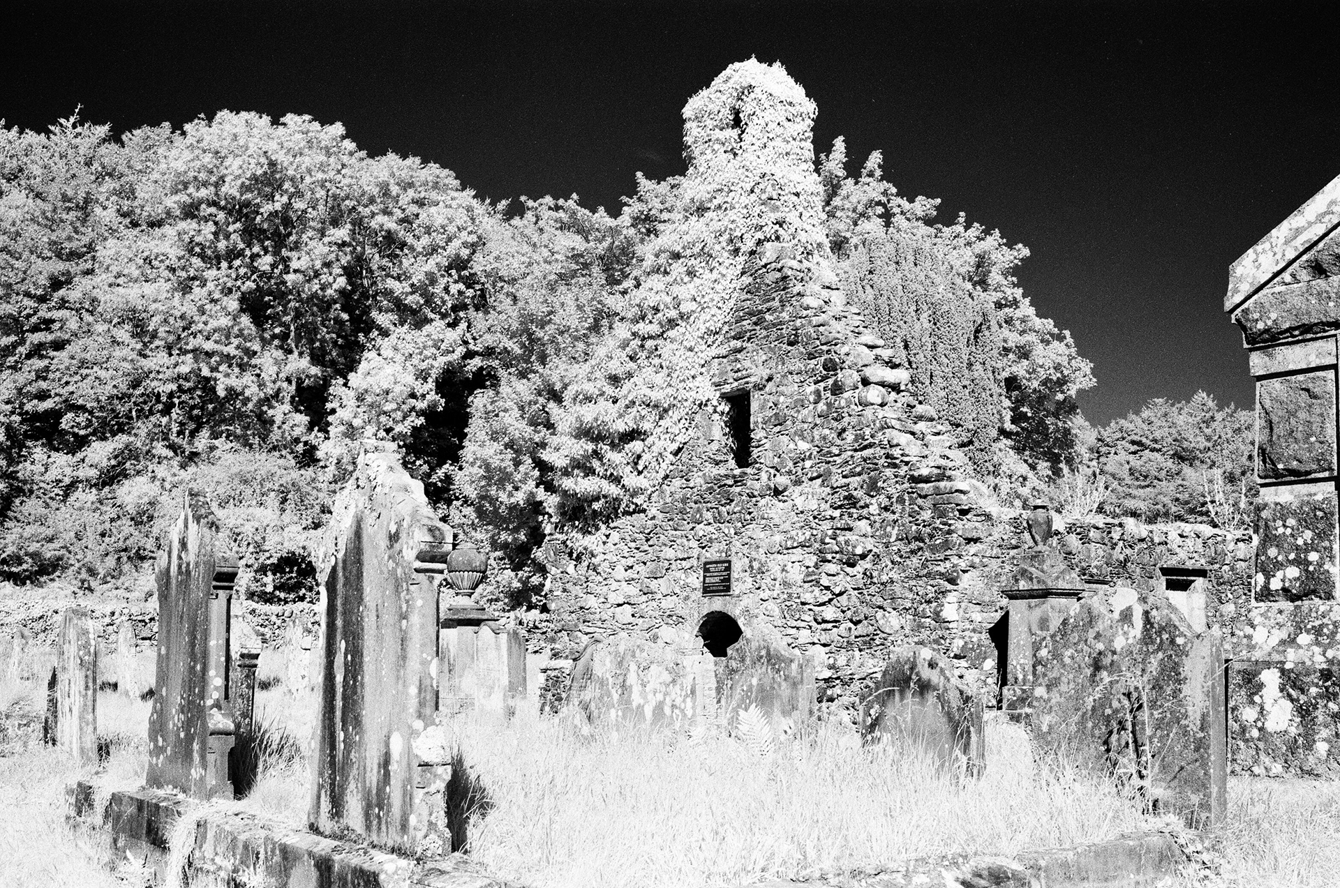 Nikon FM3a, Carl Zeiss Distagon 35mm ƒ2, Rollei IR400 + R72 Filter