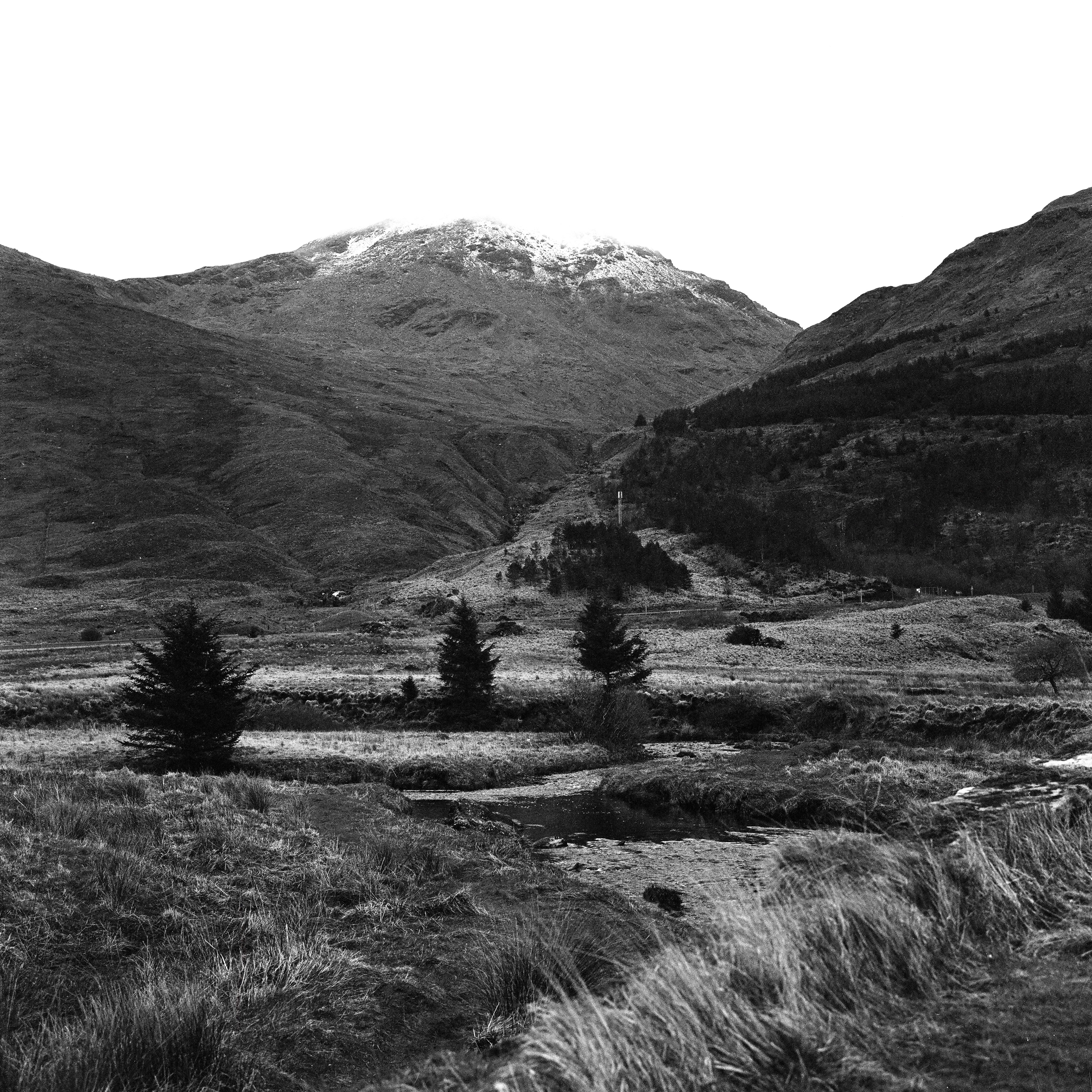 Rolleiflex 3.5F, Zeiss Planar 75mm ƒ3.5, Kodak Tri-X