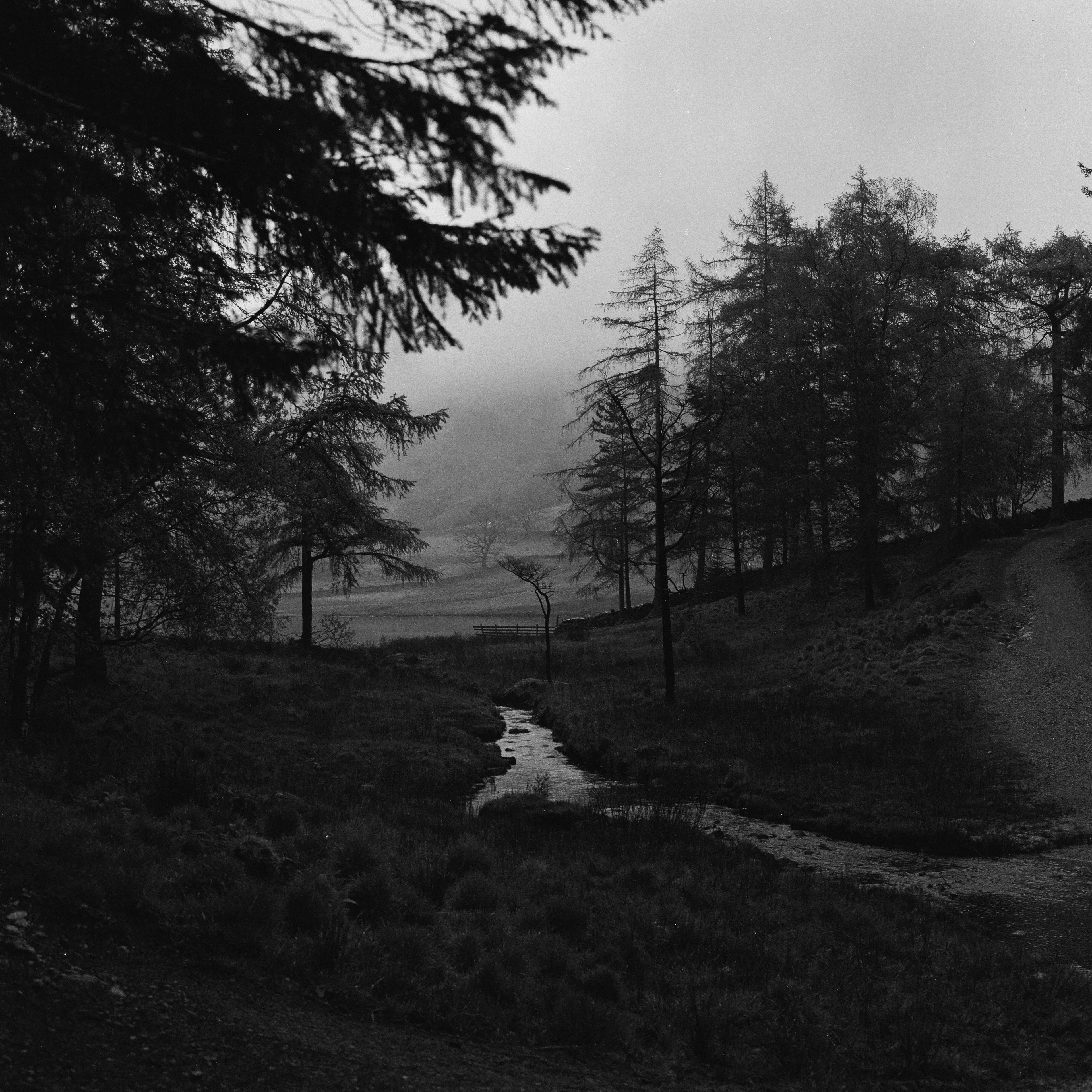 Bronica SQ-Ai, Zenzanon PS 80mm ƒ2.8, Ilford HP5+