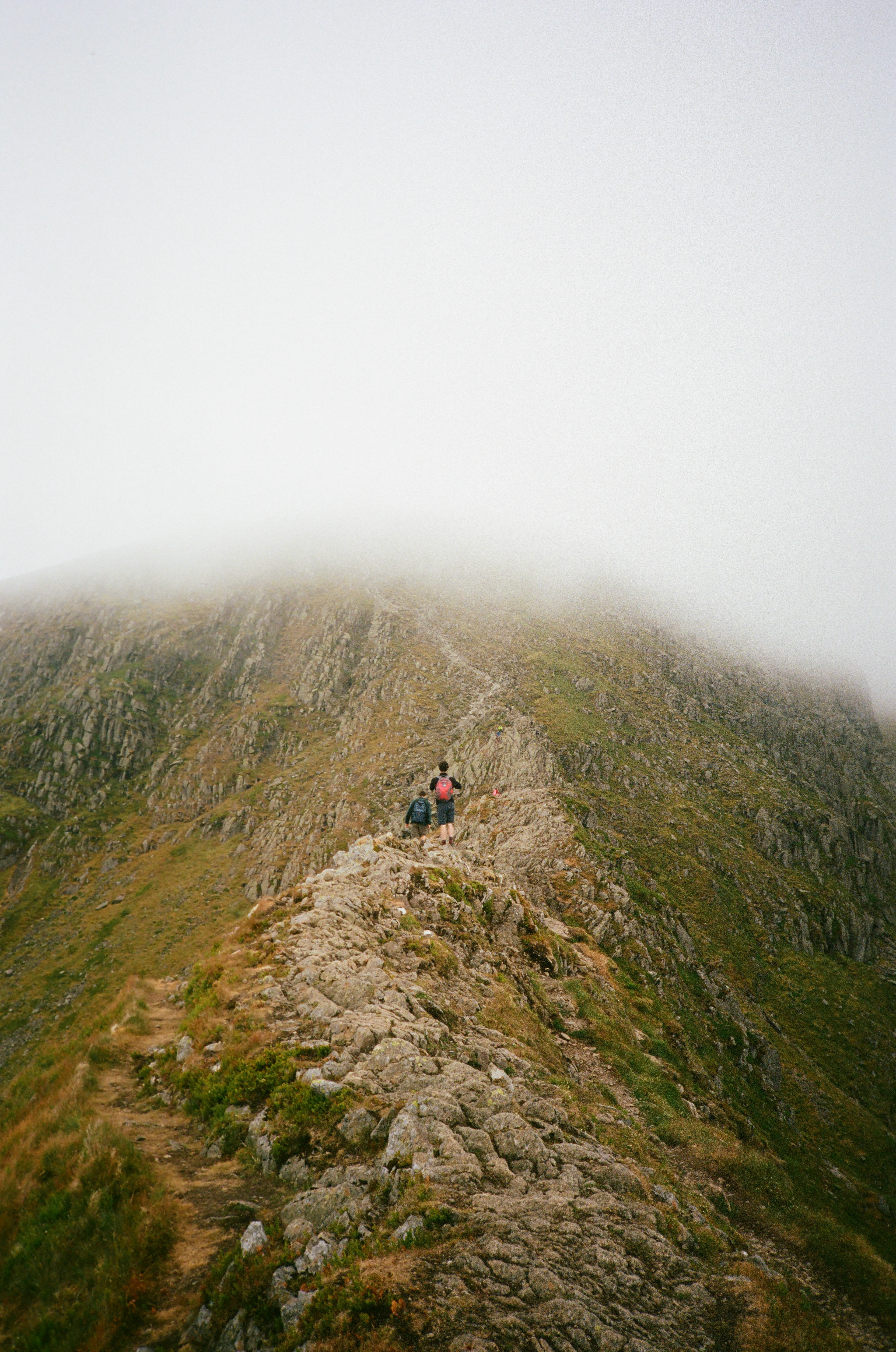 Olympus XA2, Kodak Portra 400