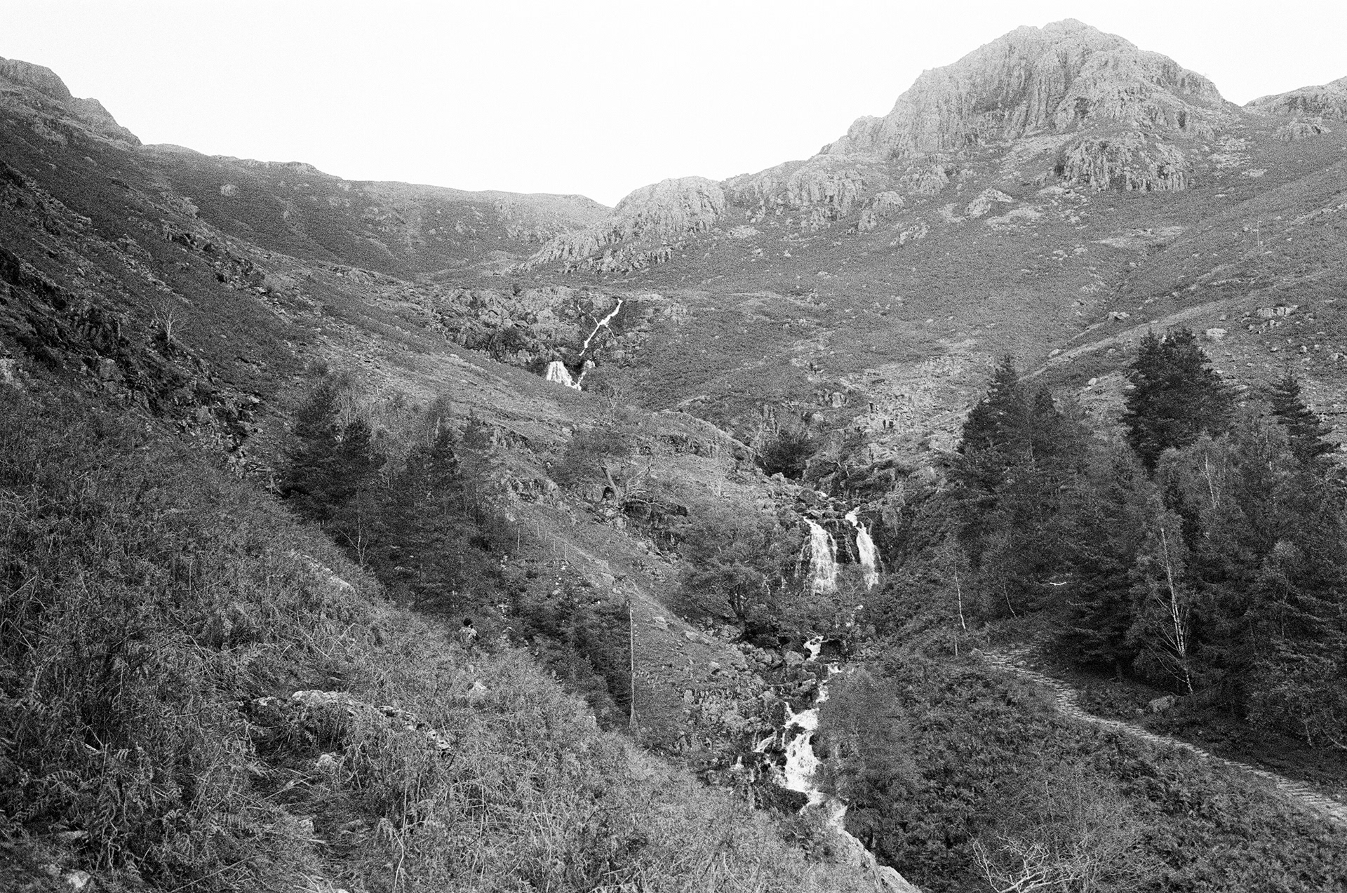 Pentax SV, Takumar 35mm ƒ3.5, Ilford Delta 400