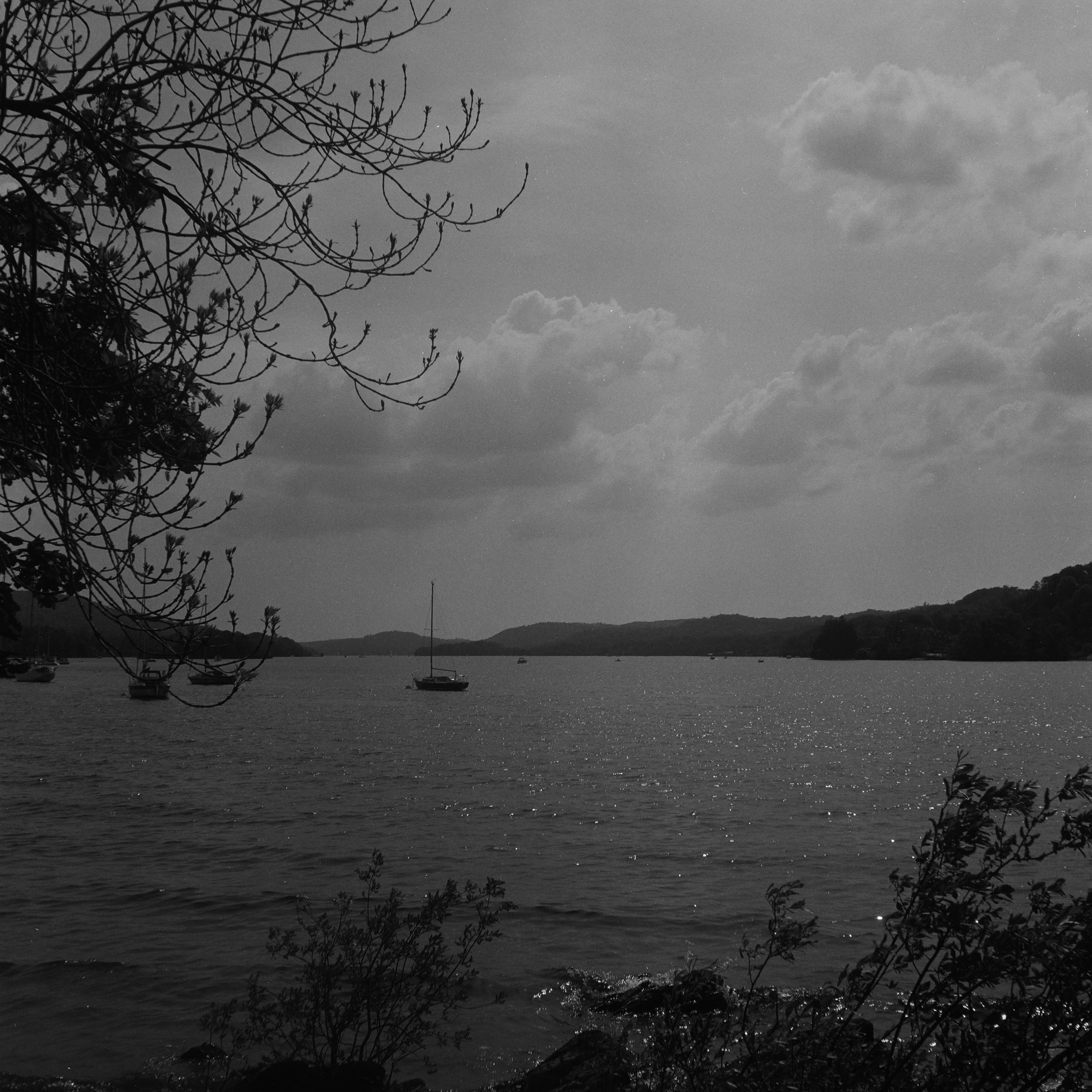 Rolleicord "Art Deco", Zeiss Jena Triotar 75mm ƒ4.5, Ilford HP5+