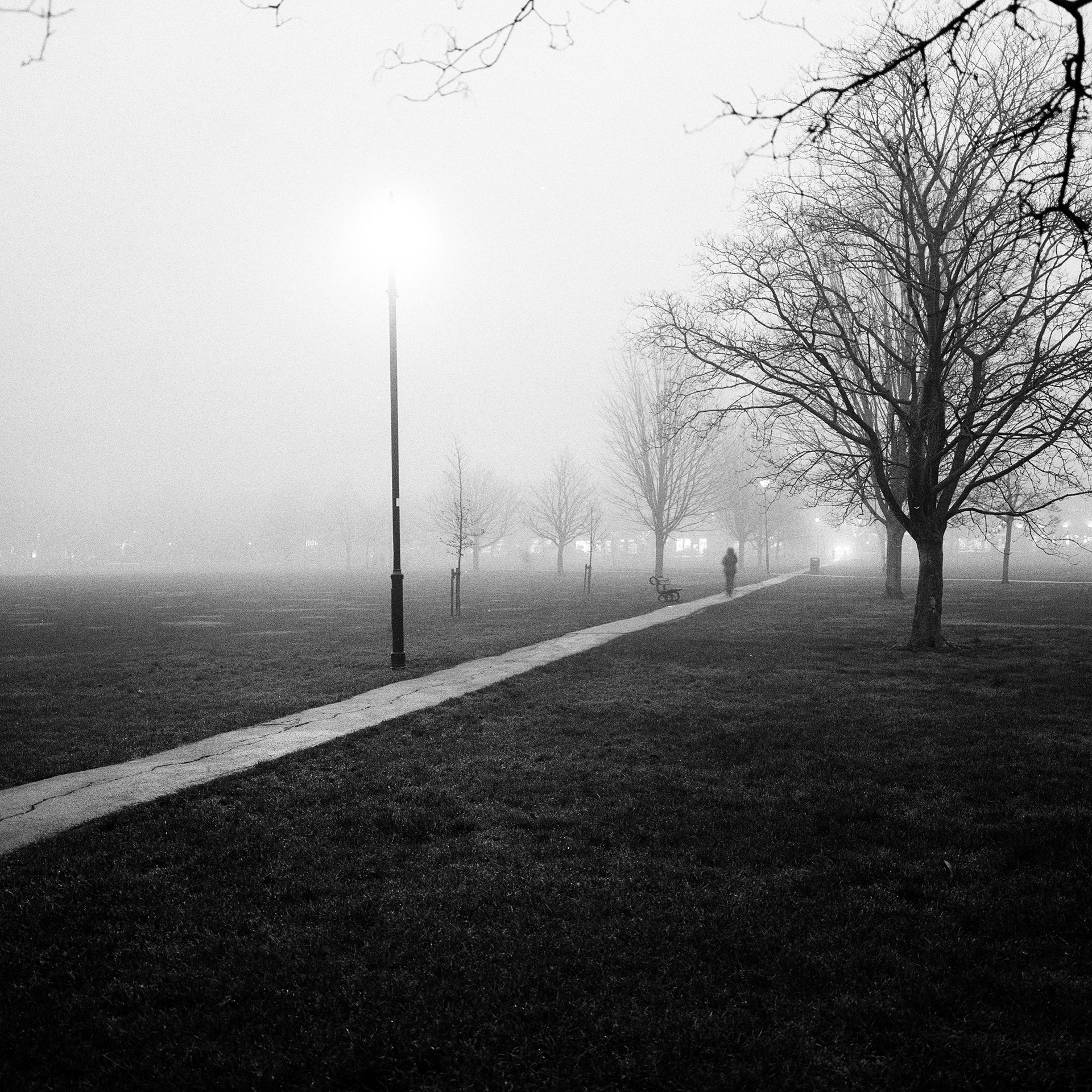 Mamiya 6 MF, Mamiya 50mm ƒ4, Ilford HP5+