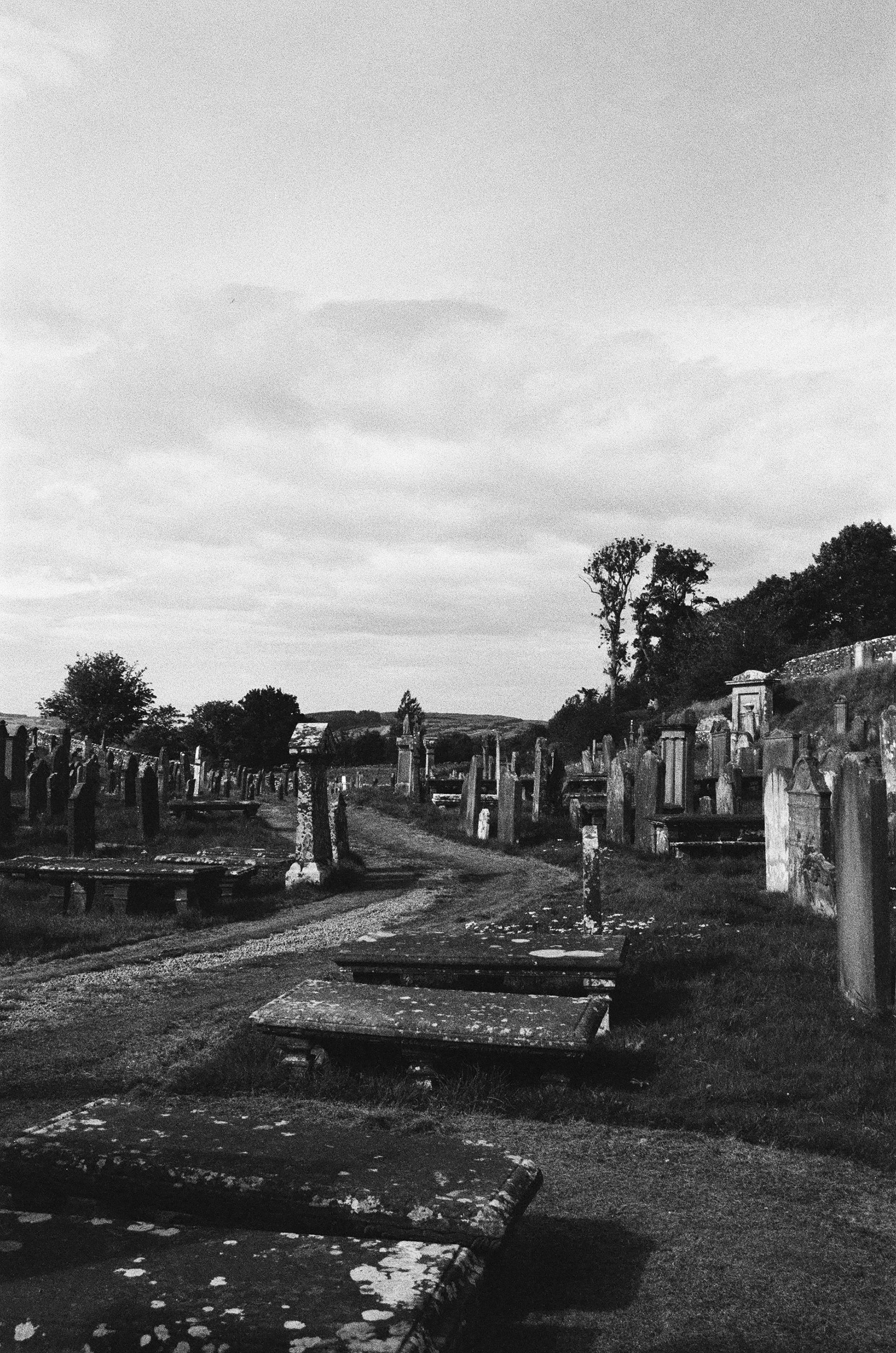 Nikon FM3a, Nikon FM3a, Carl Zeiss Distagon 35mm ƒ2,, Kentmere 400 (+2 Stops)