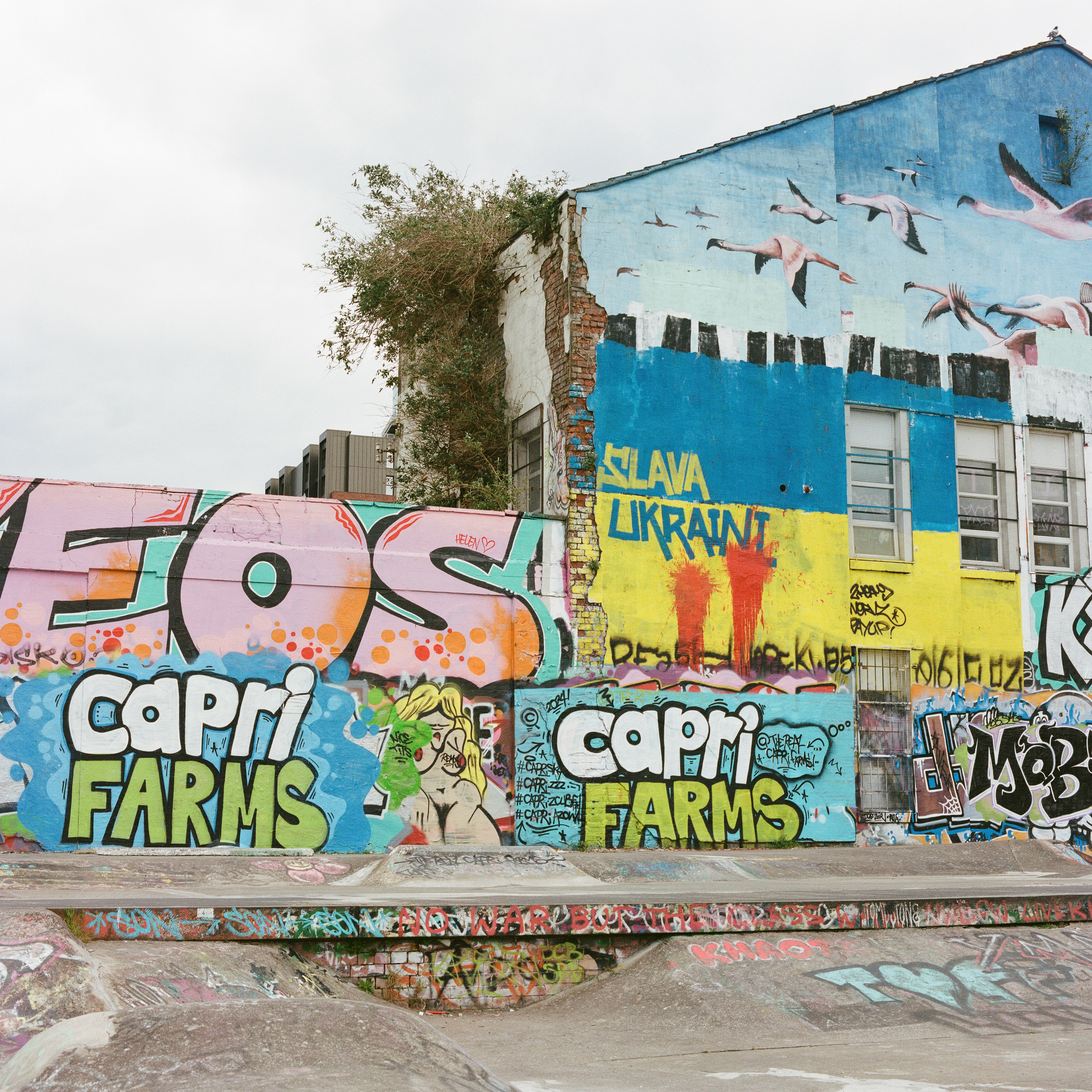 Bronica SQ-Ai, Zenzanon PS 80mm ƒ2.8, Kodak Portra 400