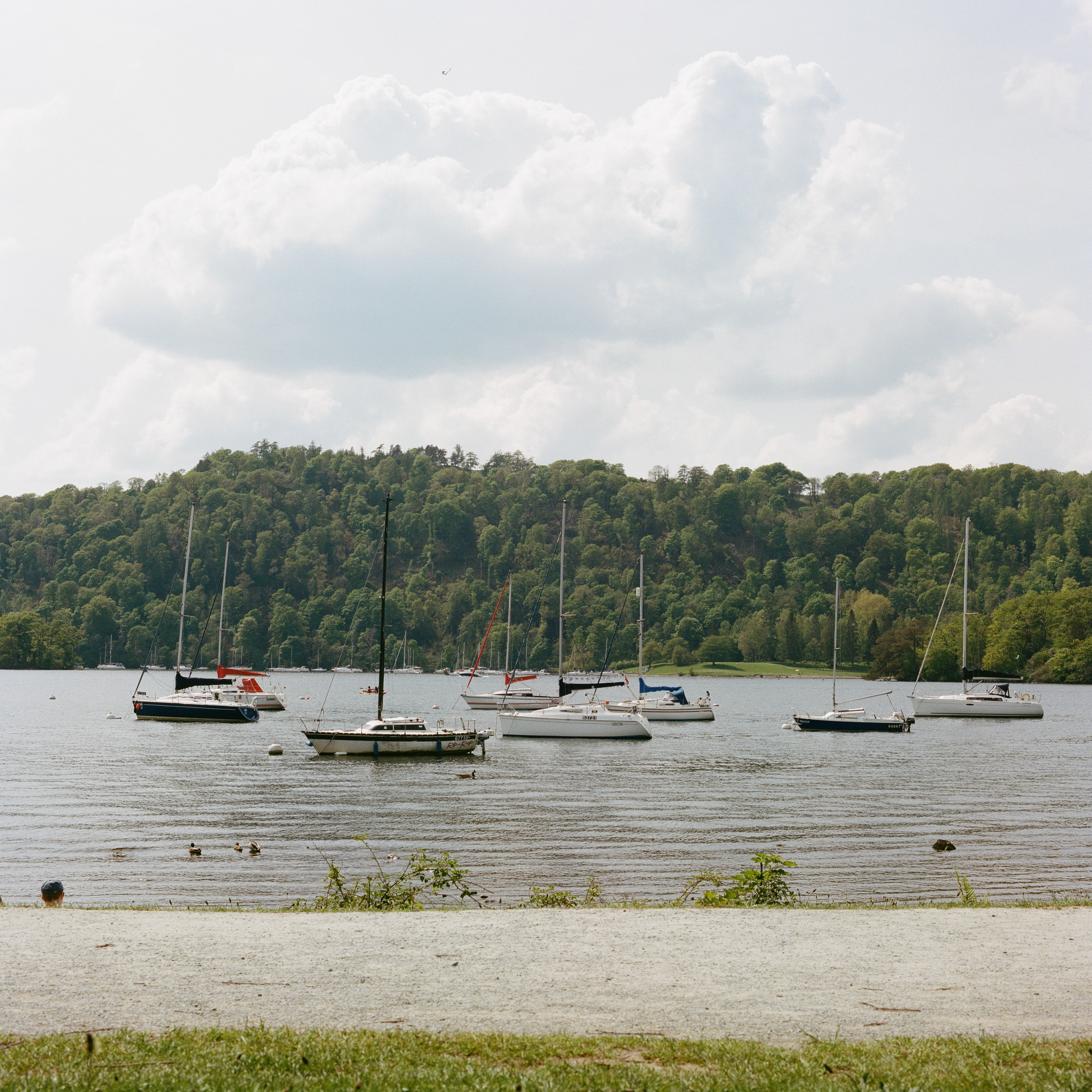 Bronica SQ-Ai, Zenzanon PS 80mm ƒ2.8, Kodak Portra 400