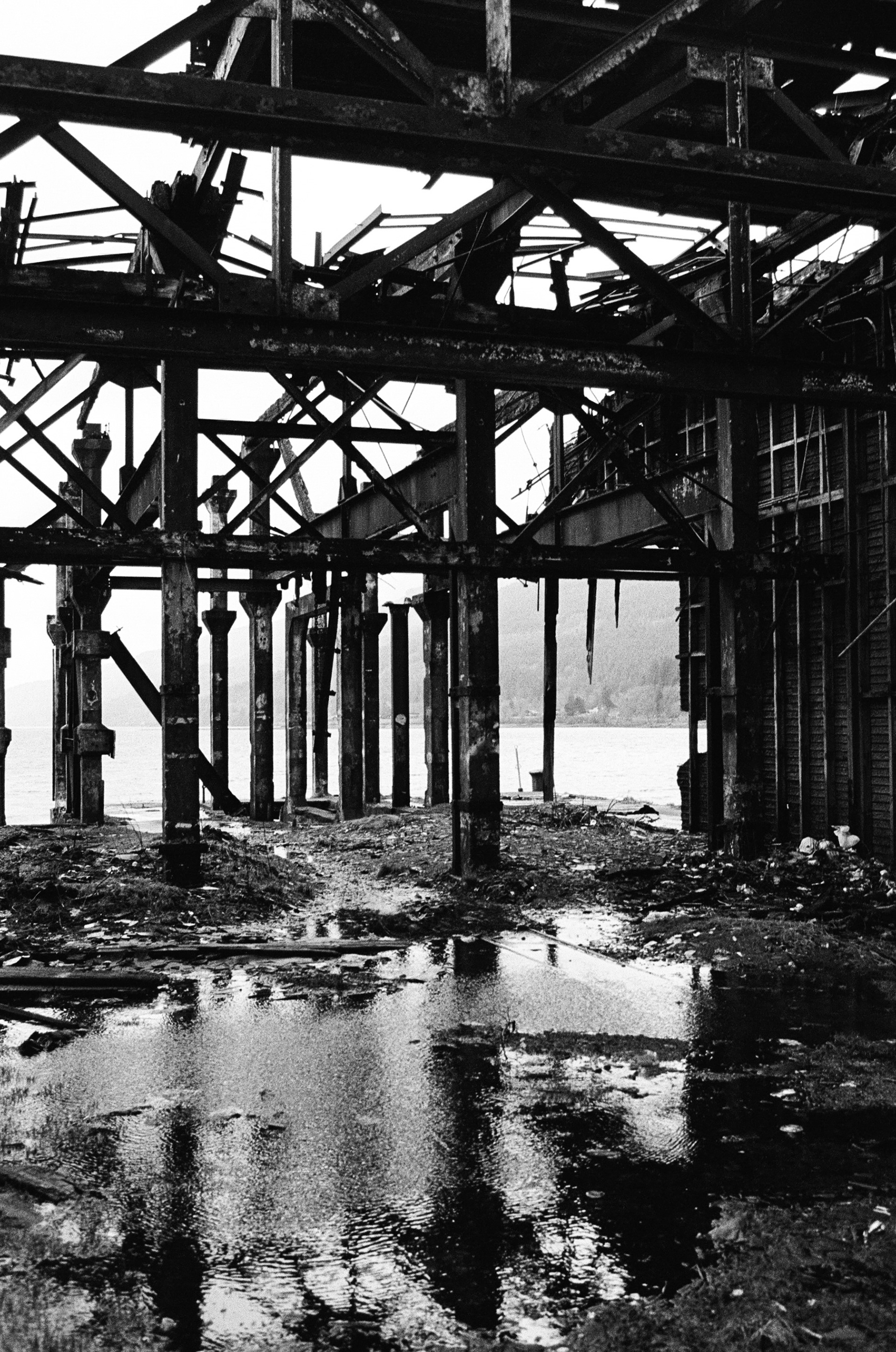 Nikon FM3a, Carl Zeiss Distagon 35mm ƒ2, Kodak Tri-X