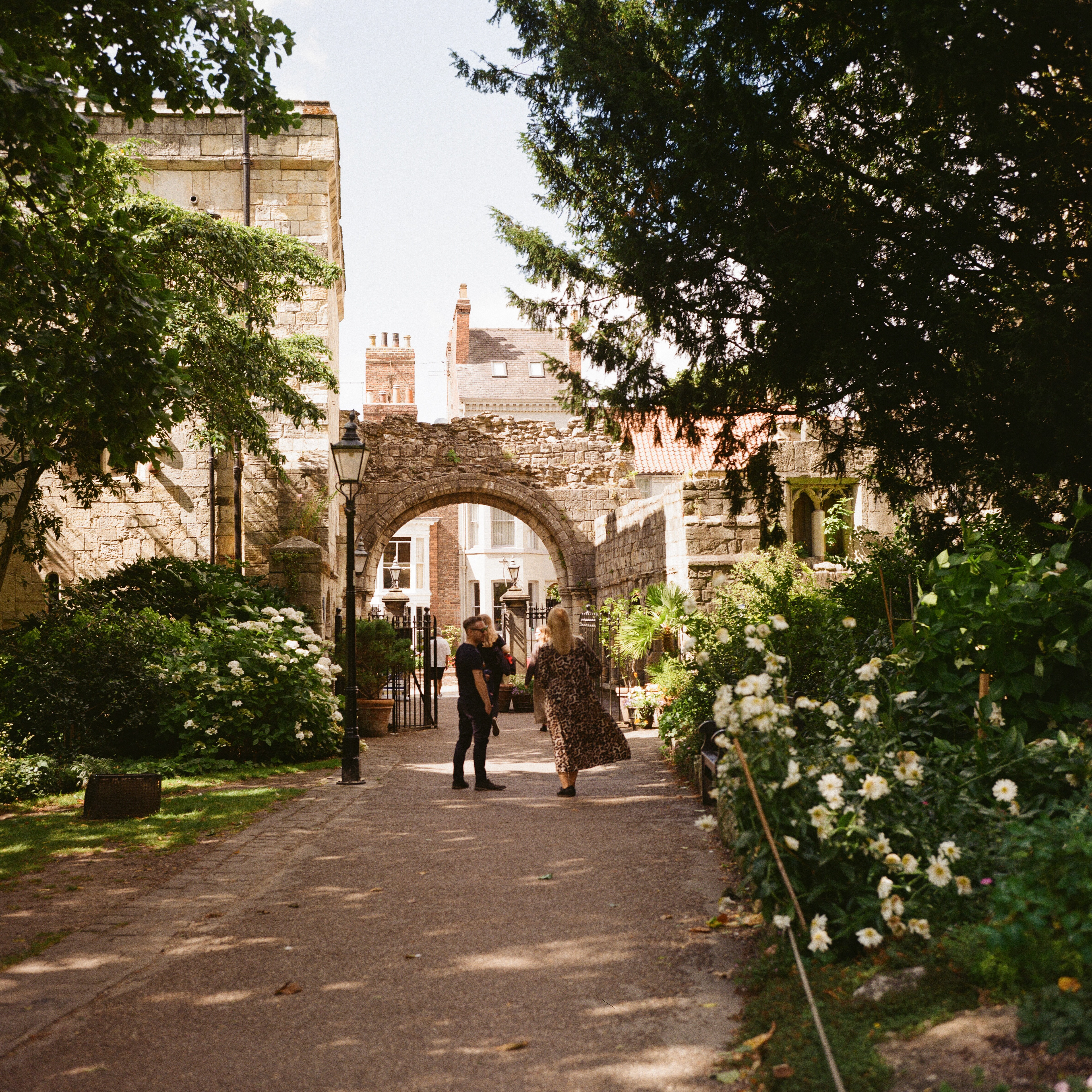 Rolleiflex 3.5F, Zeiss Planar 75mm ƒ3.5, Kodak Gold 200