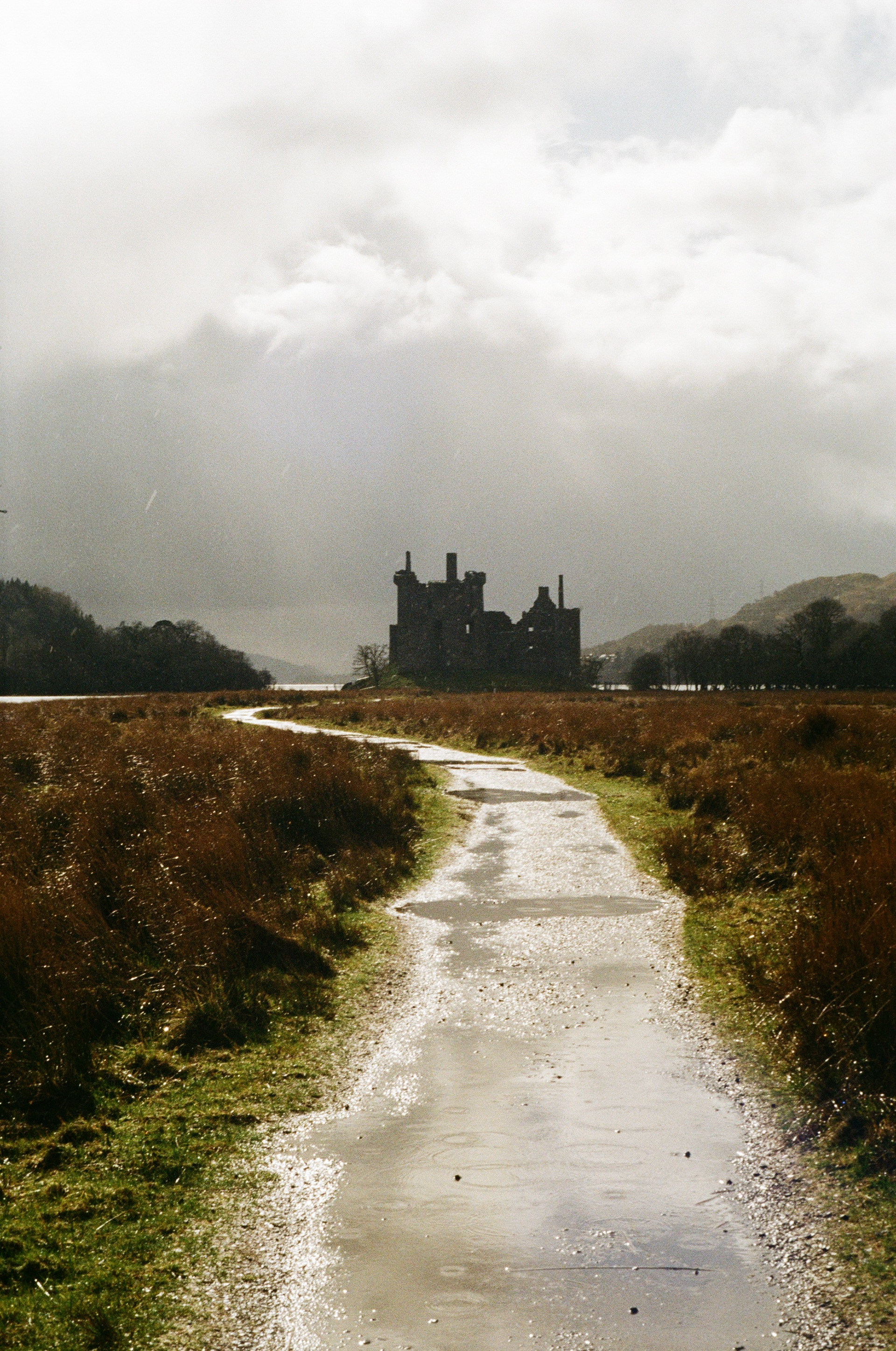 Zeiss Ikon Contaflex Super B, Tessar 50mm ƒ2.8, Kodak Gold 200