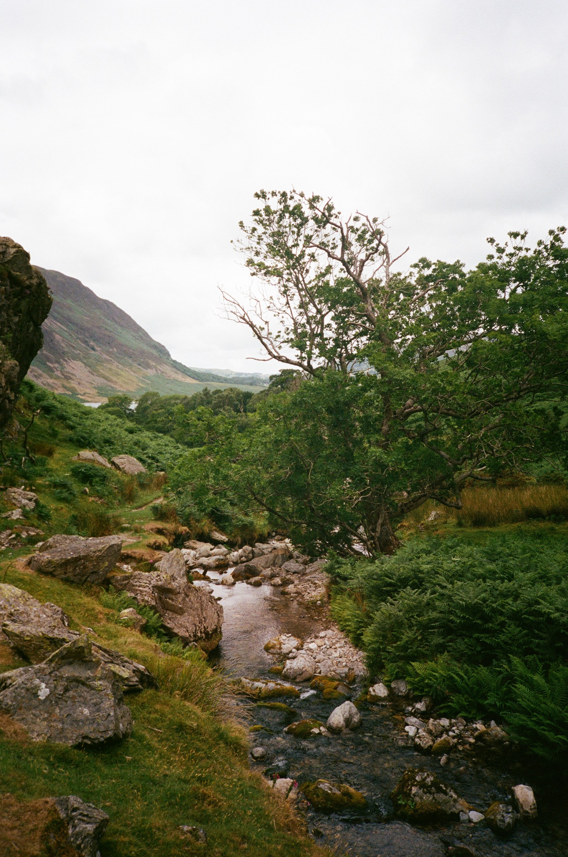 Olympus XA2, Kodak Portra 400