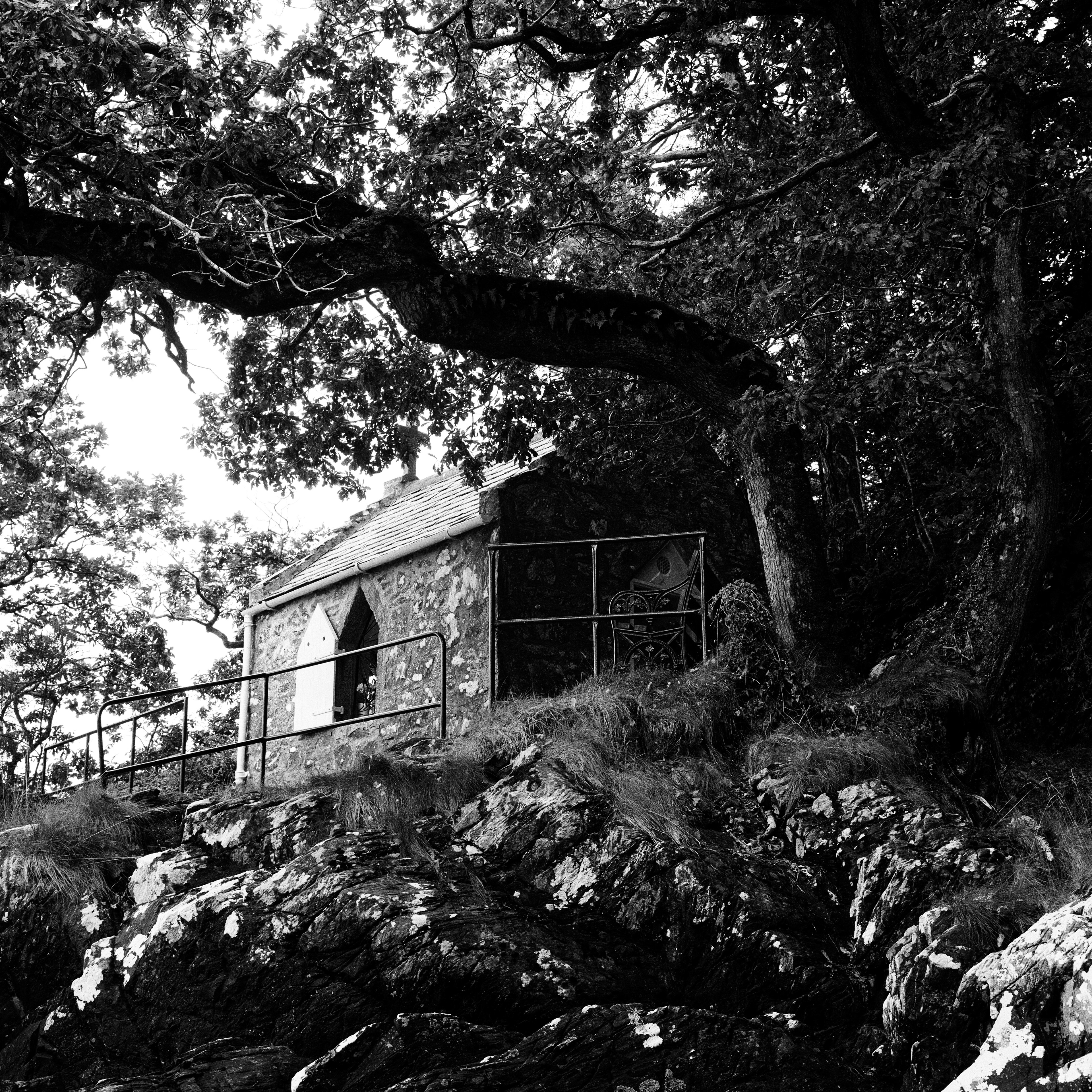 Rolleiflex 3.5F, Zeiss Planar 75mm ƒ3.5, Ilford HP5+