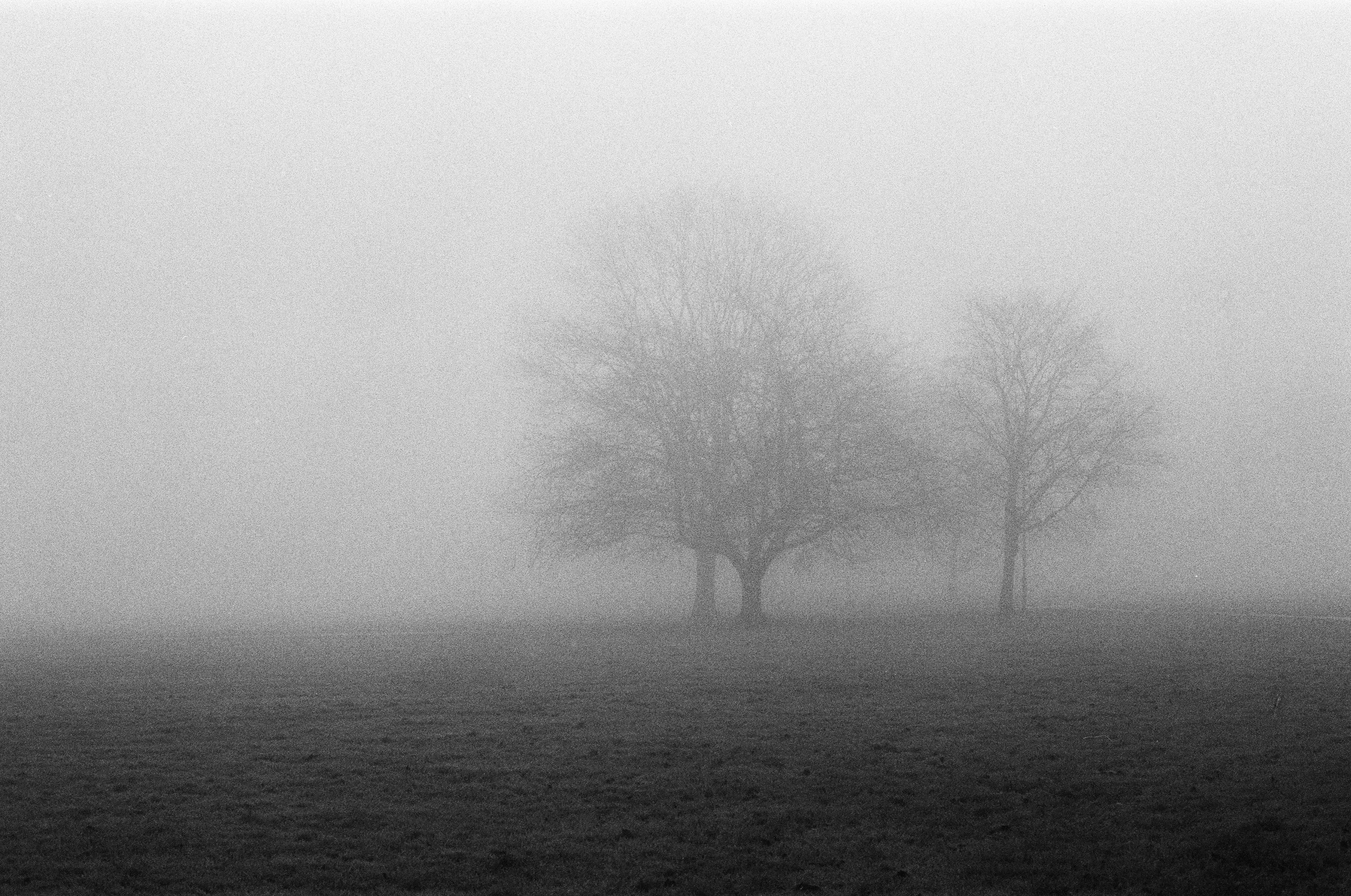 Nikon FM3a, Nikkor AI-S 50mm ƒ1.4, Ilford HP5+