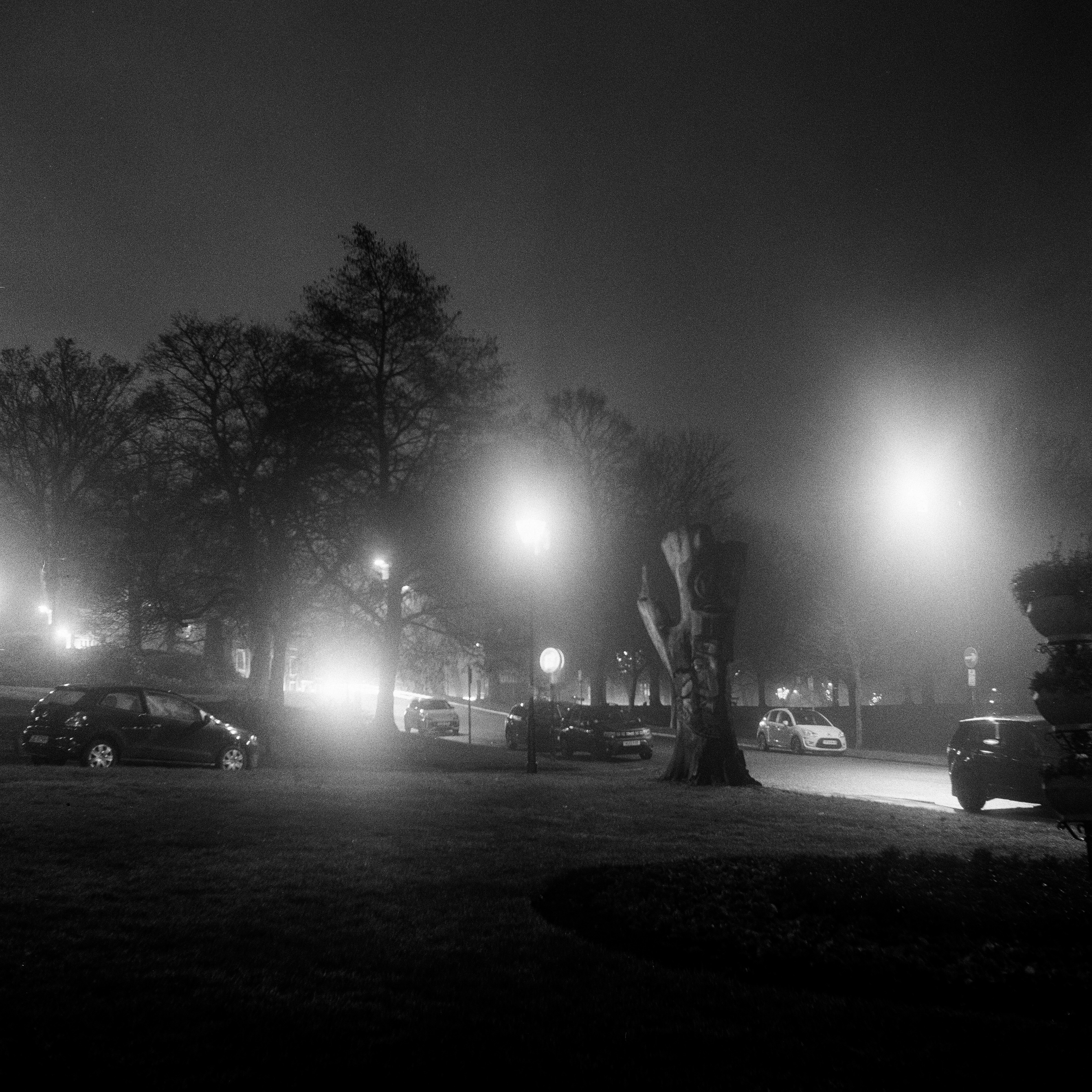 Rolleiflex "Old Standard" 622, Zeiss Jena Tessar 75mm ƒ3.5, Kodak Tri-X