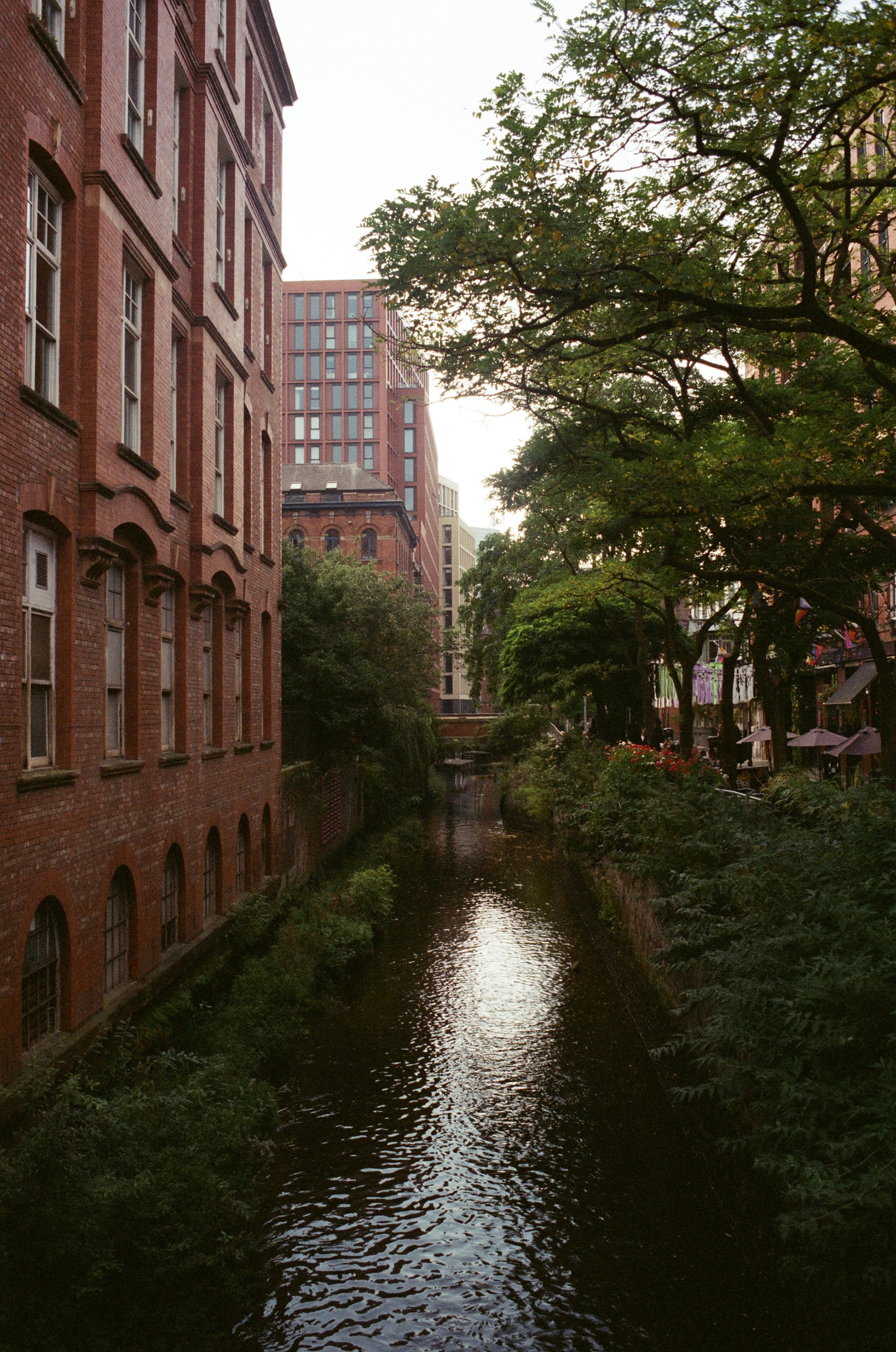 Pentax SV, Takumar 35mm ƒ3.5, Kodak Vision3 250d