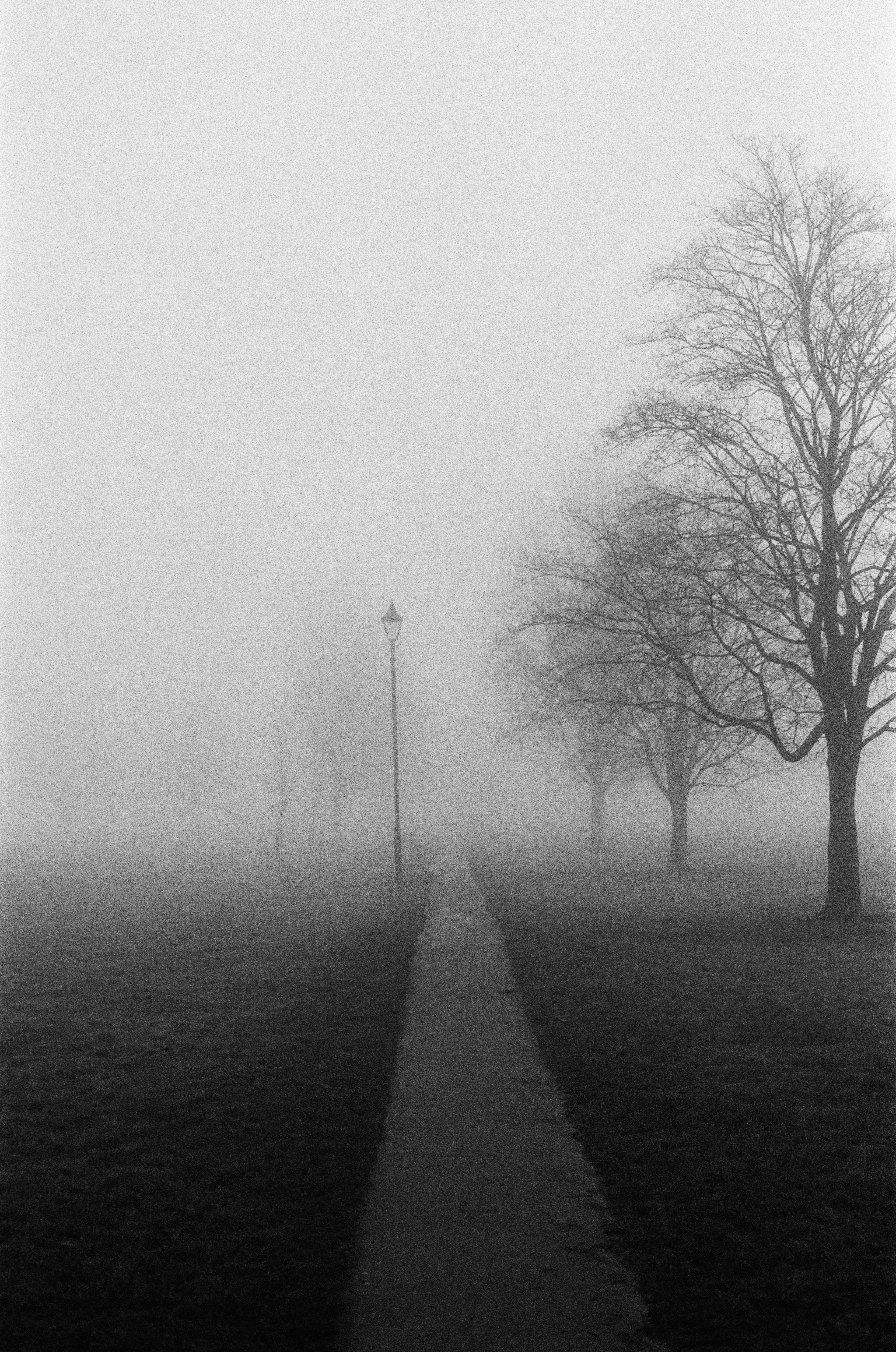 Nikon FM3a, Nikkor AI-S 50mm ƒ1.4, Ilford HP5+