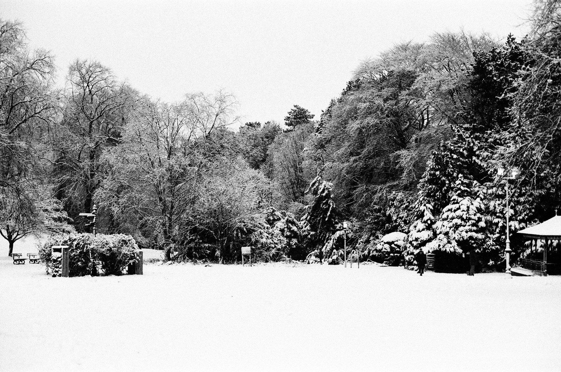 Nikon FM3a, Nikkor AI-S 50mm ƒ1.4, Ilford HP5+ (+2 stops)