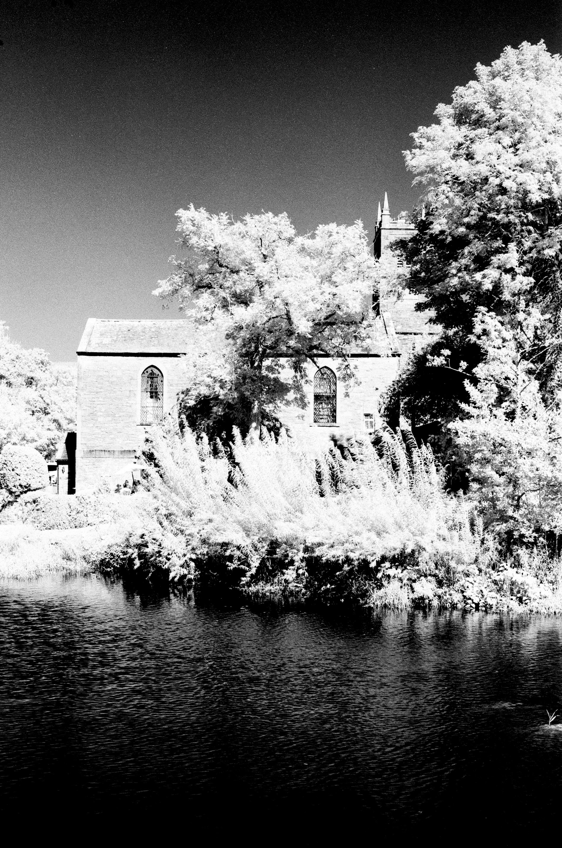 Nikon FM3a, Carl Zeiss Distagon 35mm ƒ2, Rollei IR400 + R72 Filter