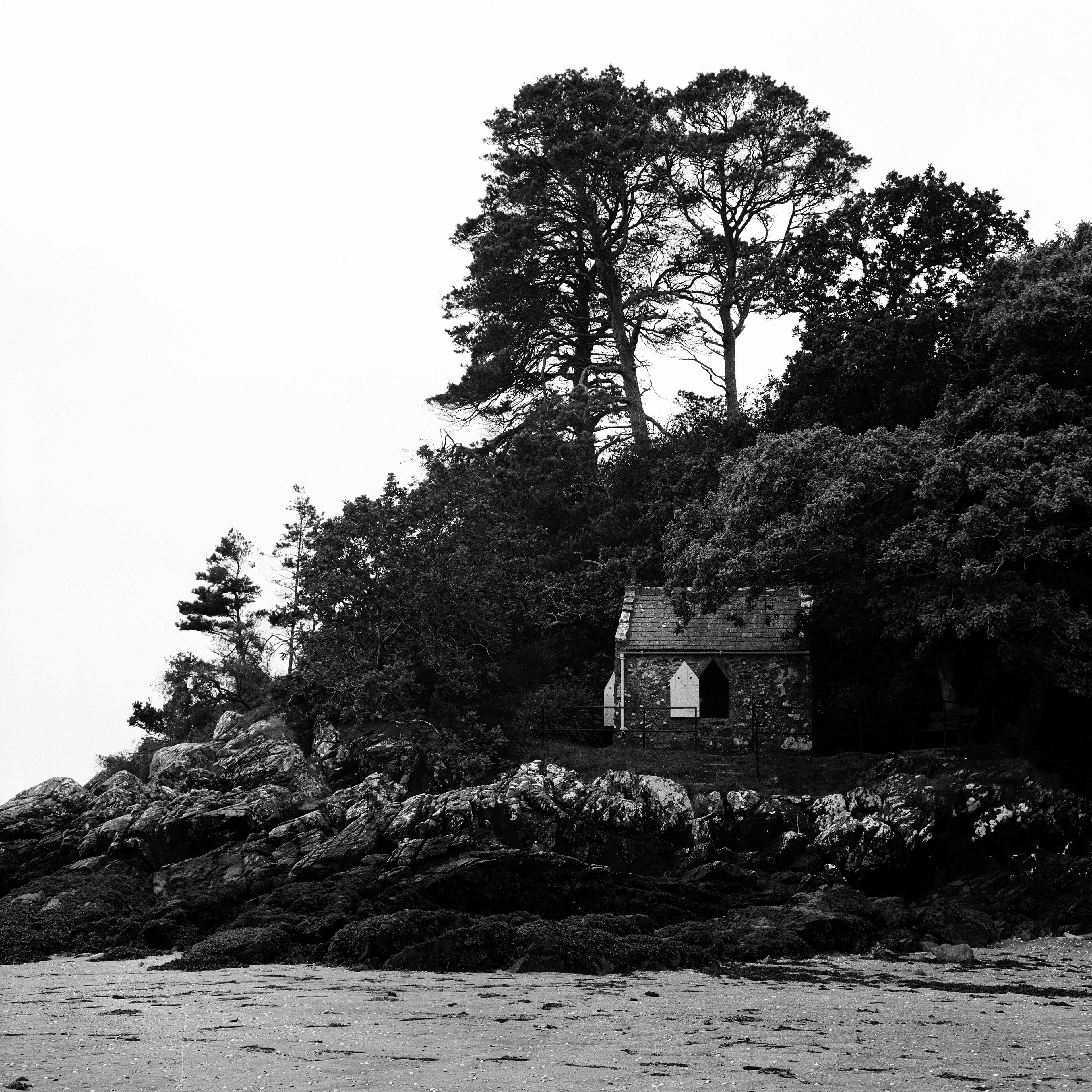 Rolleiflex 3.5F, Zeiss Planar 75mm ƒ3.5, Ilford HP5+