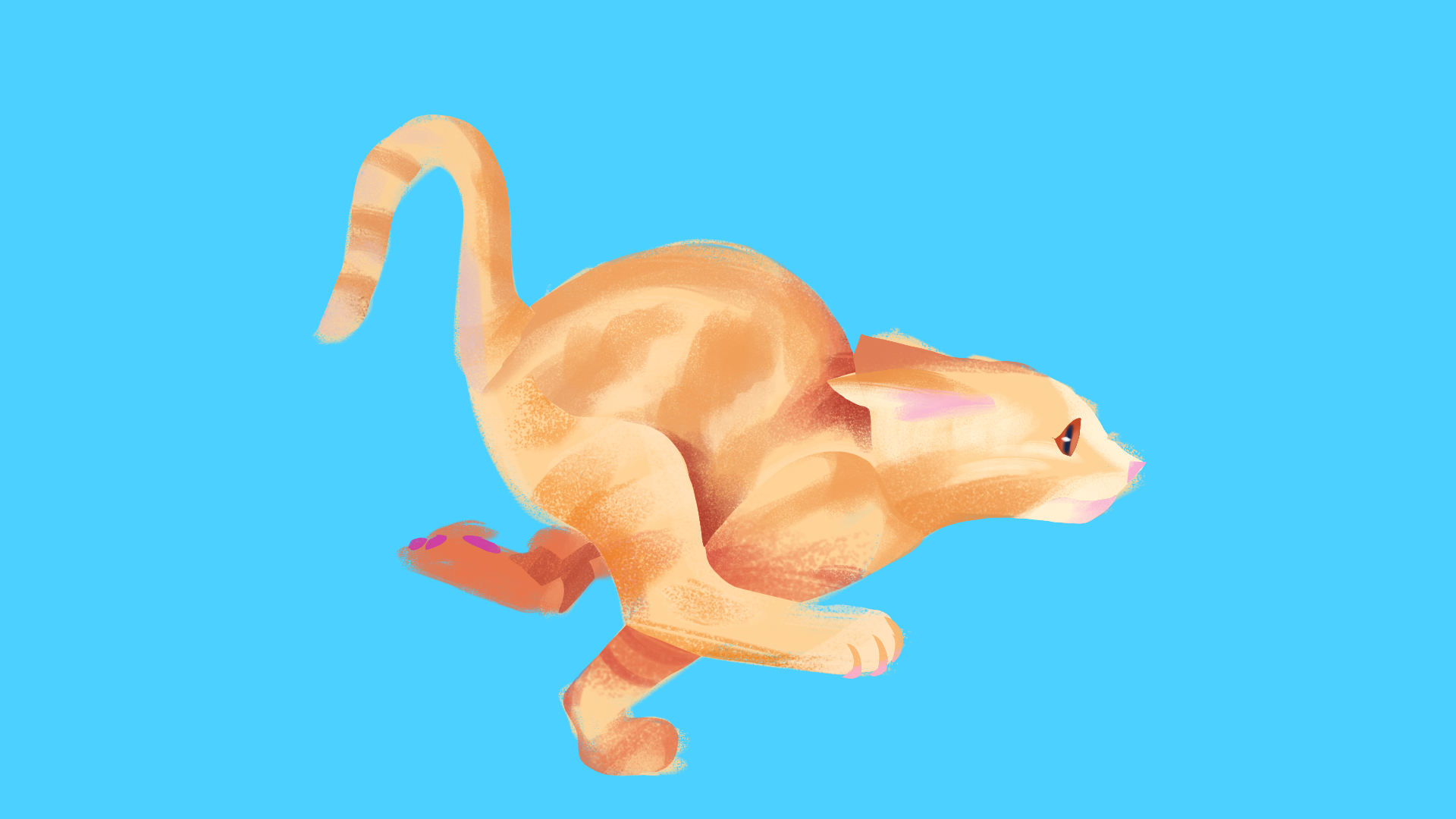 15-Minute Photo Study