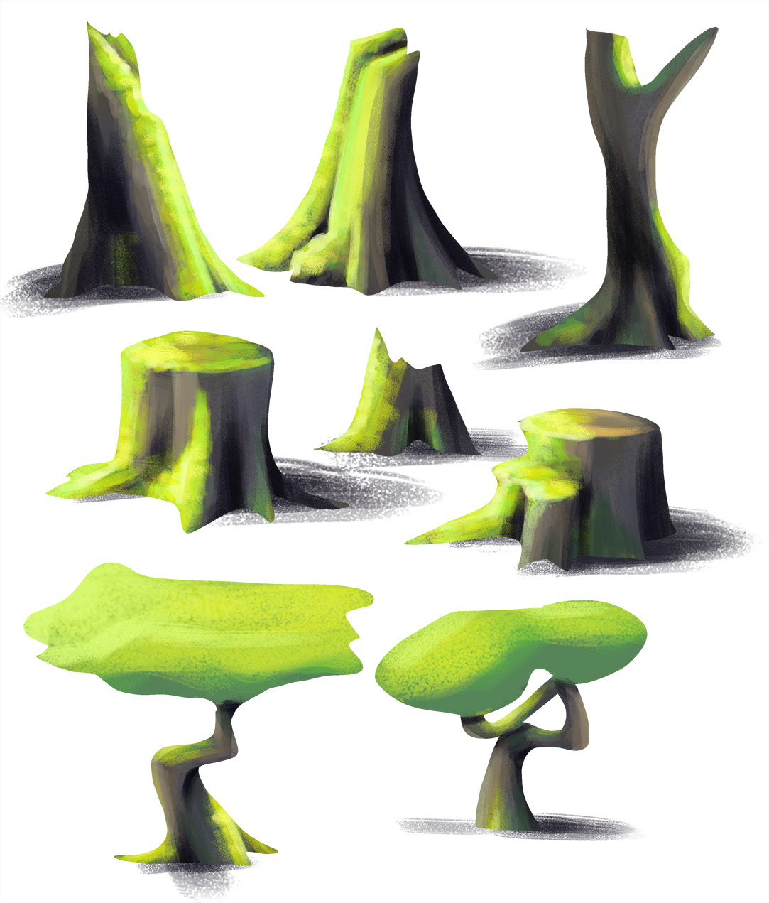 Tree Study