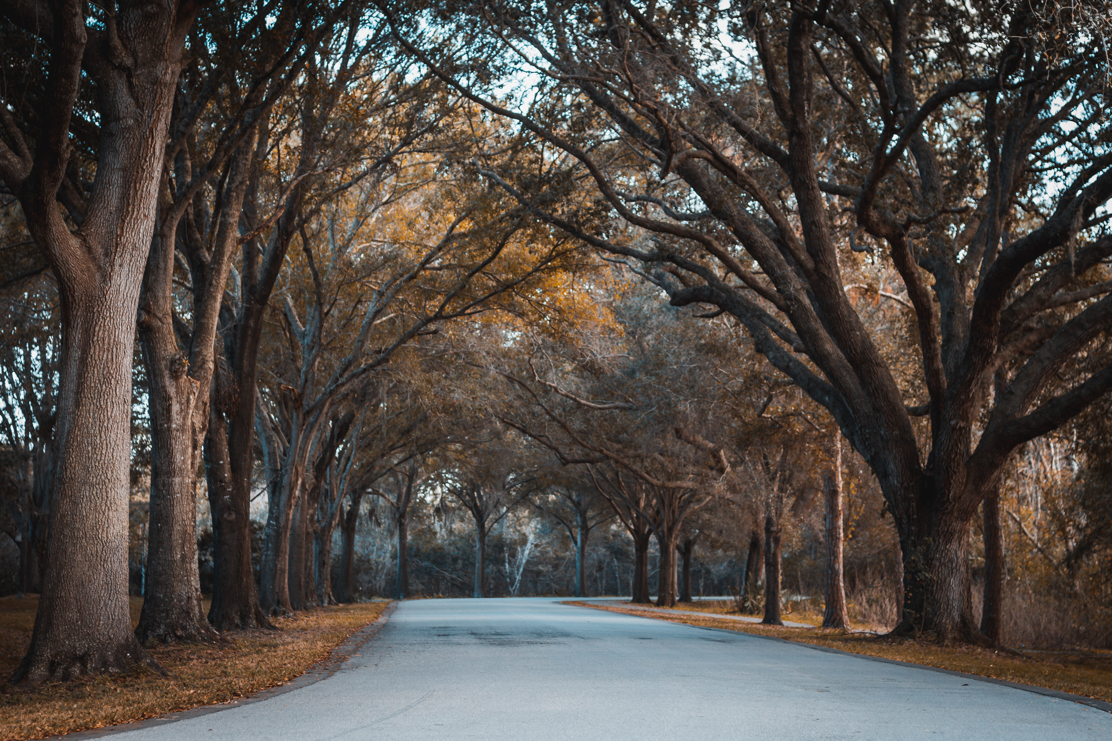 Sawgrass Lake Park, FL