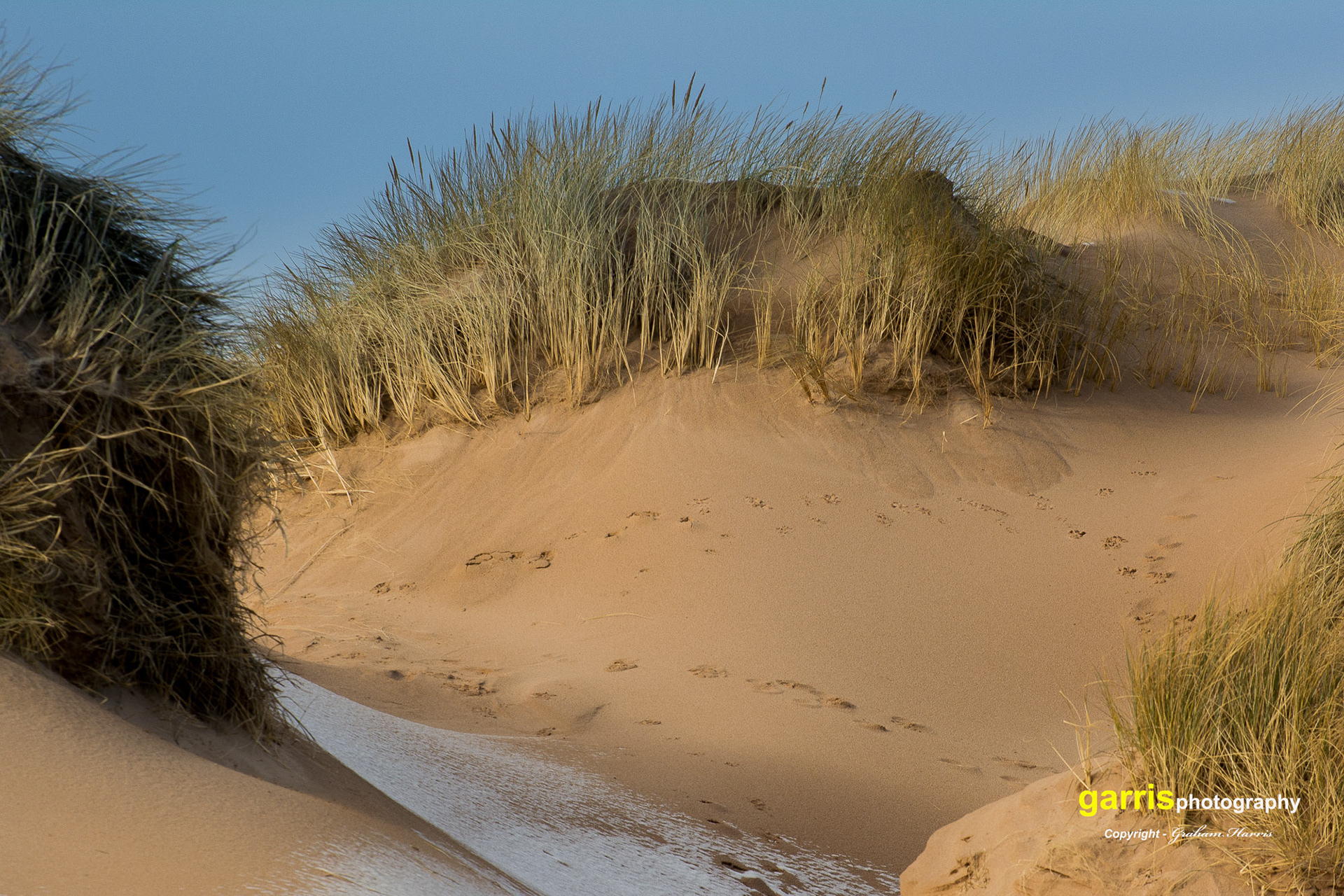 Balmedie Beach, Aberdeenshire
