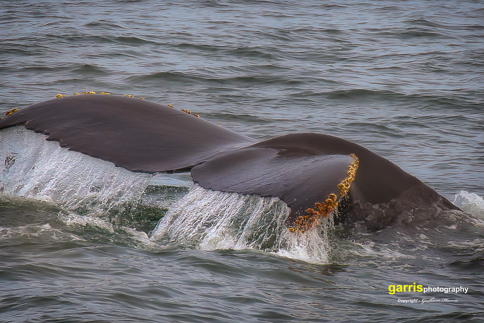 Off Monterey, California